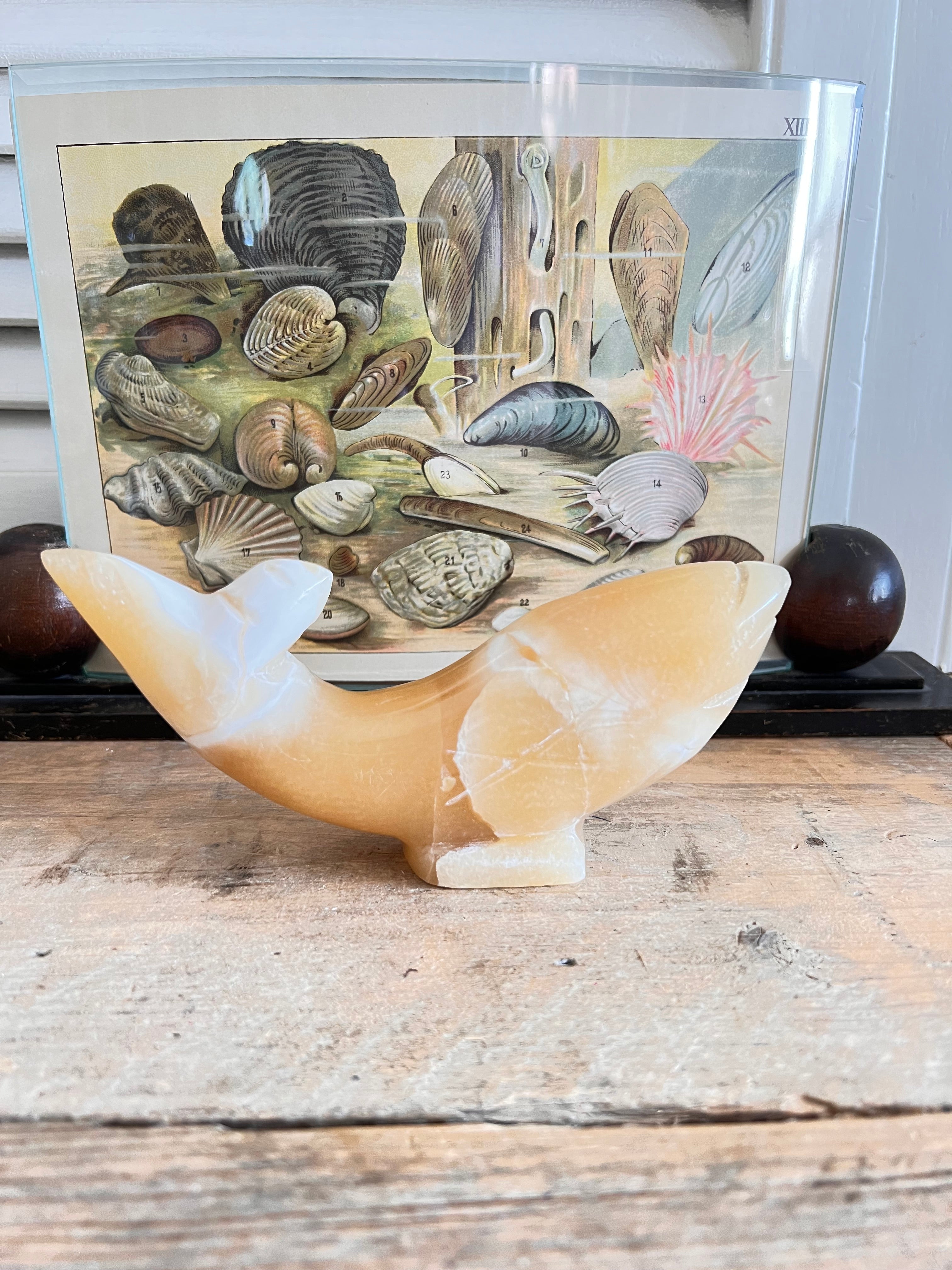  - vintage visbeeldje Albast &amp;nbsp;
- Albast vis uit Egypte &amp;nbsp;
- Albasten beeldje vis &amp;nbsp;
- Egyptisch Albast decoratie &amp;nbsp;
- vintage decoratieve beelden &amp;nbsp;
- handgemaakt Albast beeldje &amp;nbsp;
- unieke vis decoratie &amp;nbsp;
- Albast souvenirs Egypte 