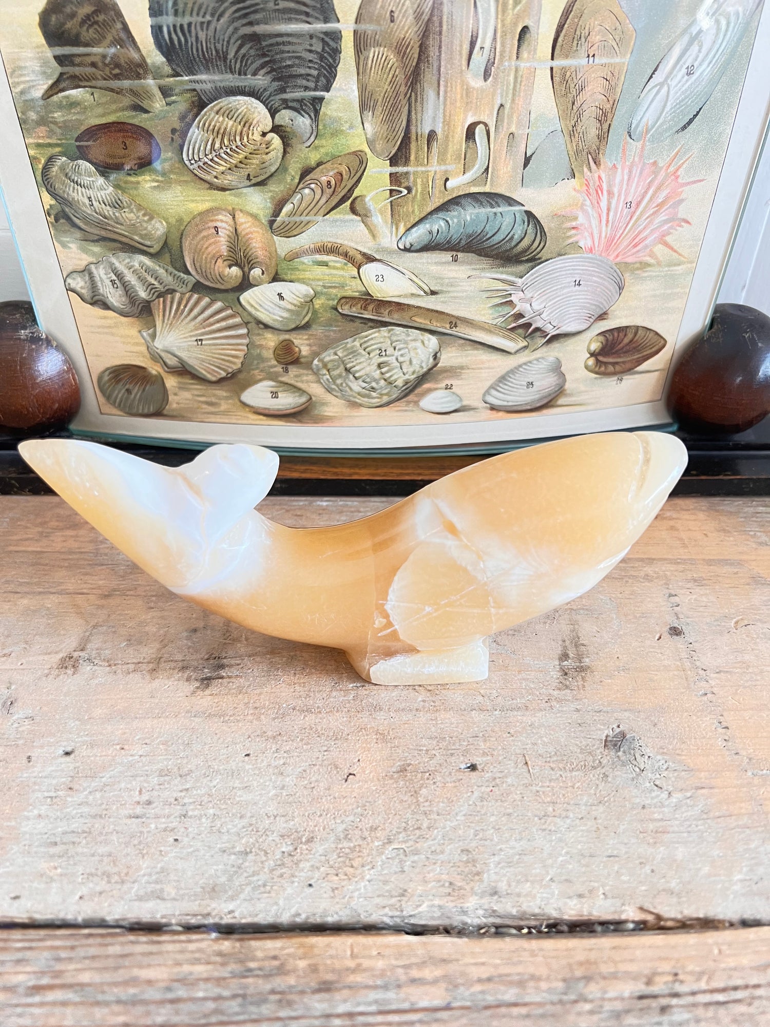  - vintage visbeeldje Albast &amp;nbsp;
- Albast vis uit Egypte &amp;nbsp;
- Albasten beeldje vis &amp;nbsp;
- Egyptisch Albast decoratie &amp;nbsp;
- vintage decoratieve beelden &amp;nbsp;
- handgemaakt Albast beeldje &amp;nbsp;
- unieke vis decoratie &amp;nbsp;
- Albast souvenirs Egypte 