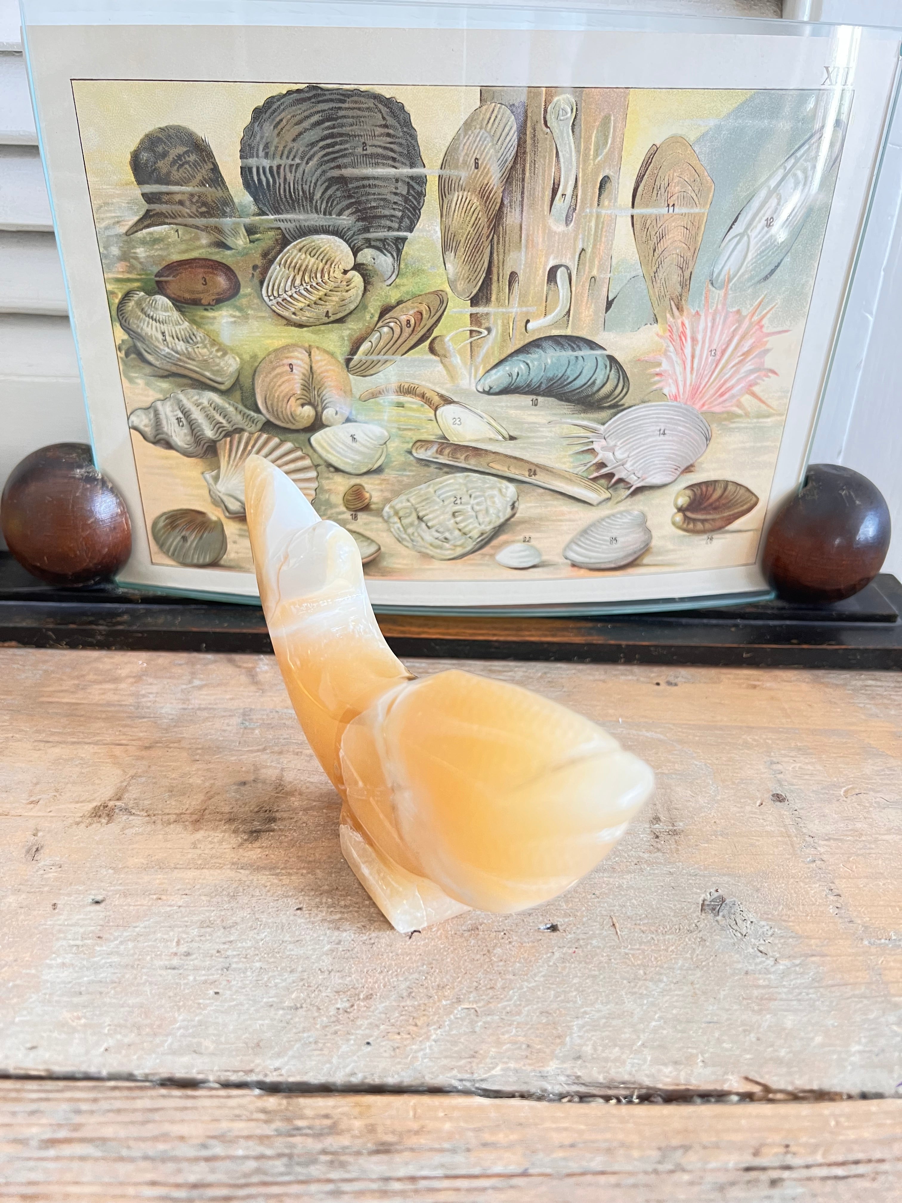  - vintage visbeeldje Albast &amp;nbsp;
- Albast vis uit Egypte &amp;nbsp;
- Albasten beeldje vis &amp;nbsp;
- Egyptisch Albast decoratie &amp;nbsp;
- vintage decoratieve beelden &amp;nbsp;
- handgemaakt Albast beeldje &amp;nbsp;
- unieke vis decoratie &amp;nbsp;
- Albast souvenirs Egypte 