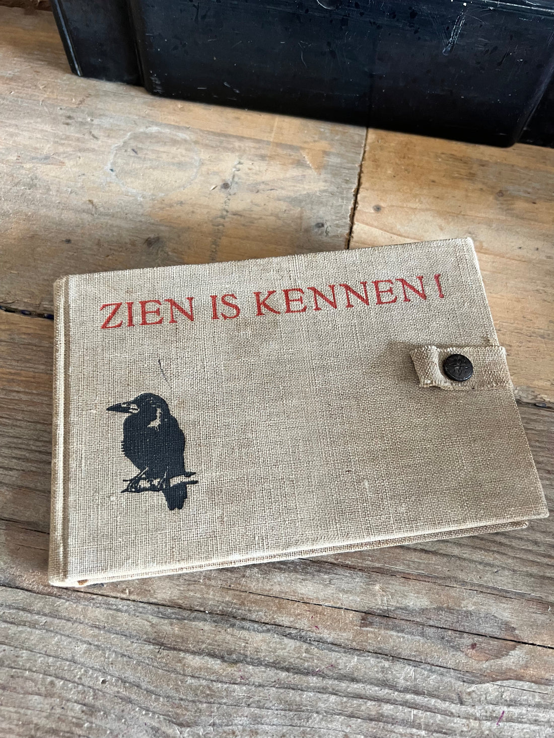 Zien is kennen boek uit 1938