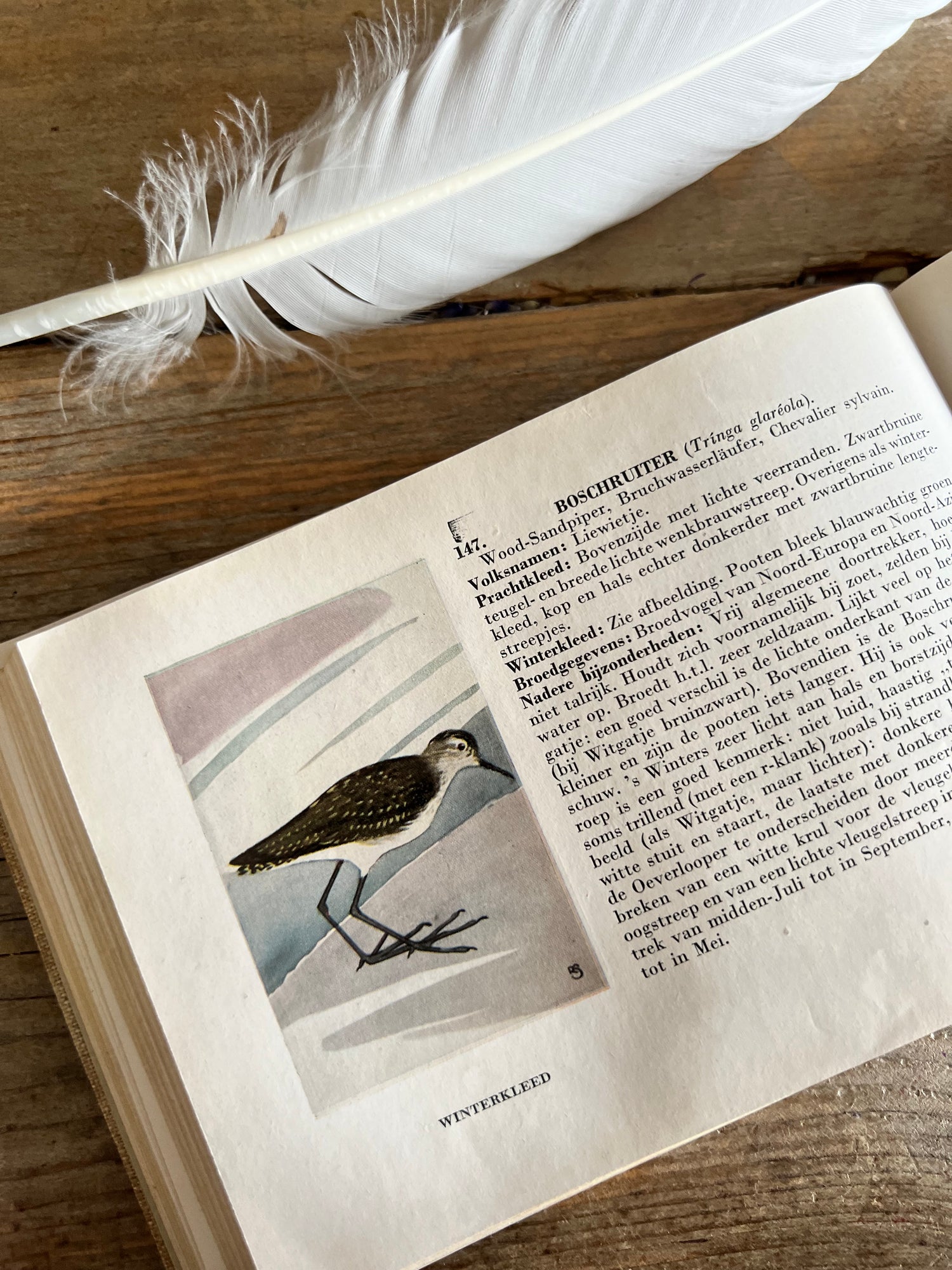Boek Zien is Kennen uit 1938