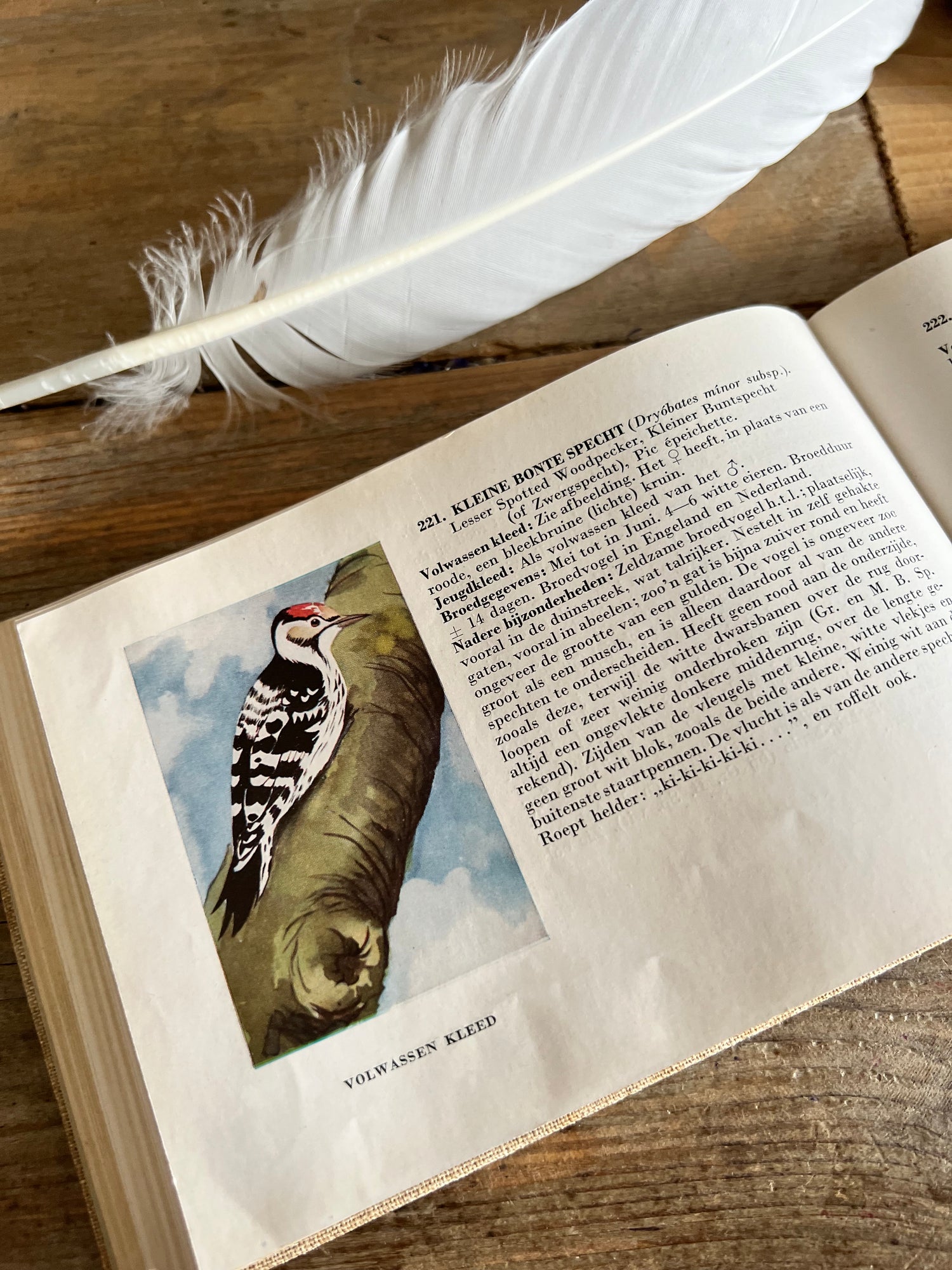 Boek Zien is Kennen uit 1938
