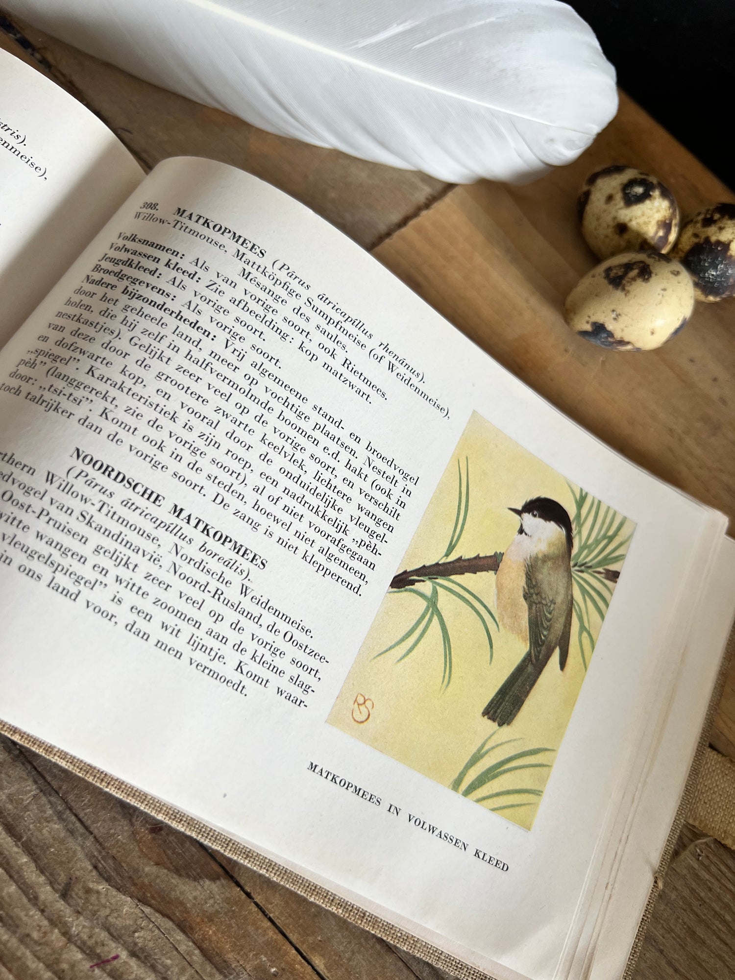 Boek Zien is Kennen uit 1938