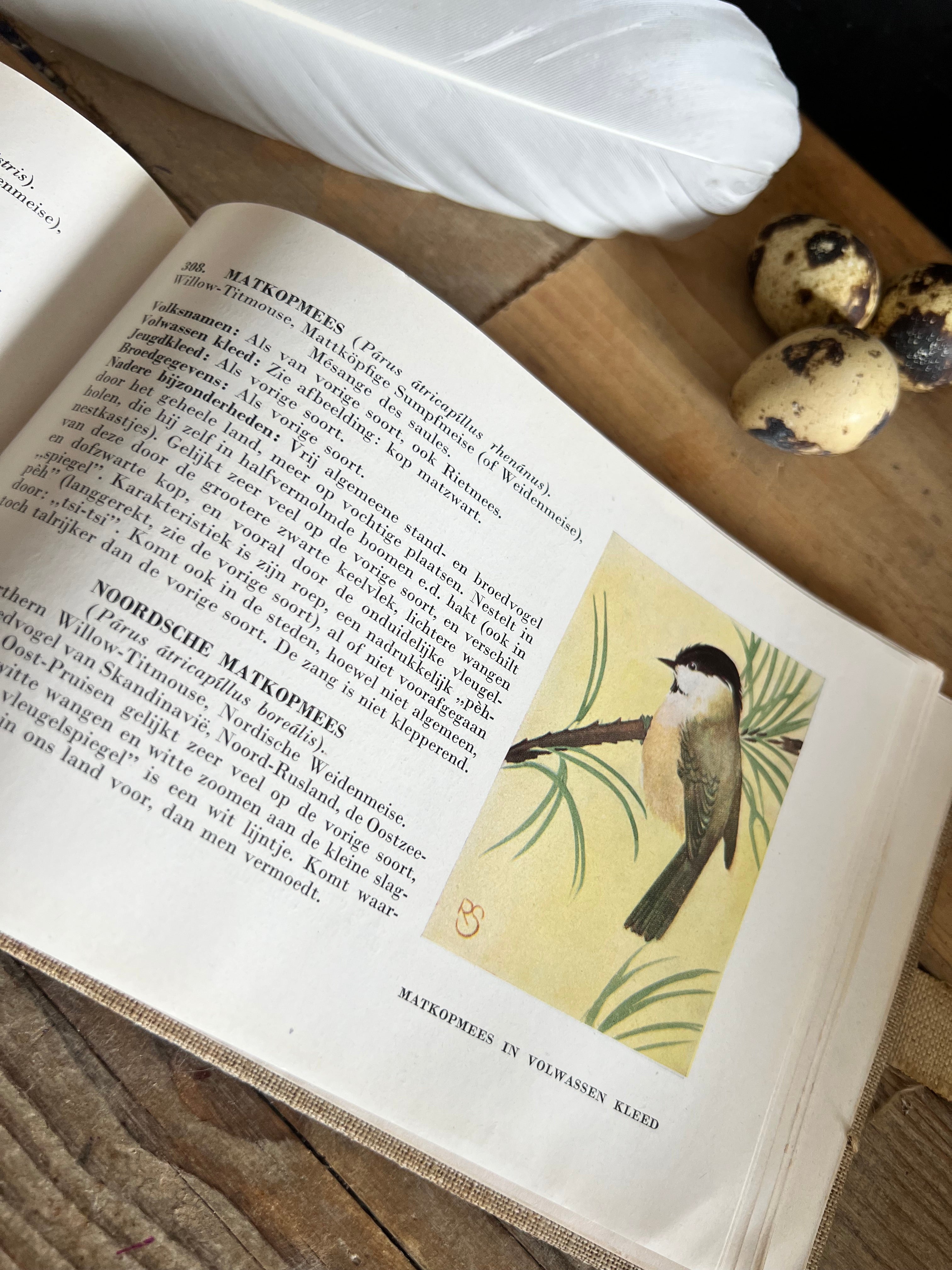 Boek Zien is Kennen uit 1938