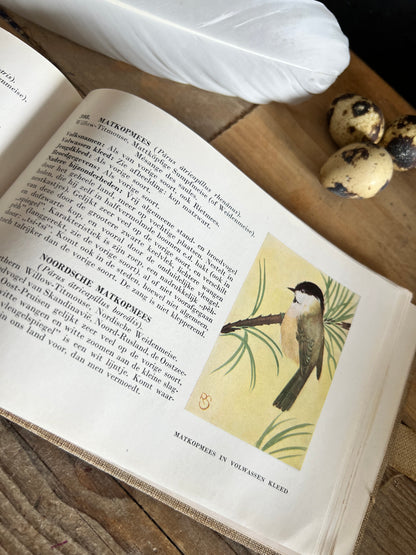 Boek Zien is Kennen uit 1938
