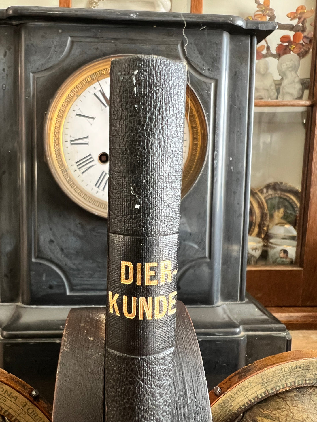 Boek dierkunde - D. Horn 1910