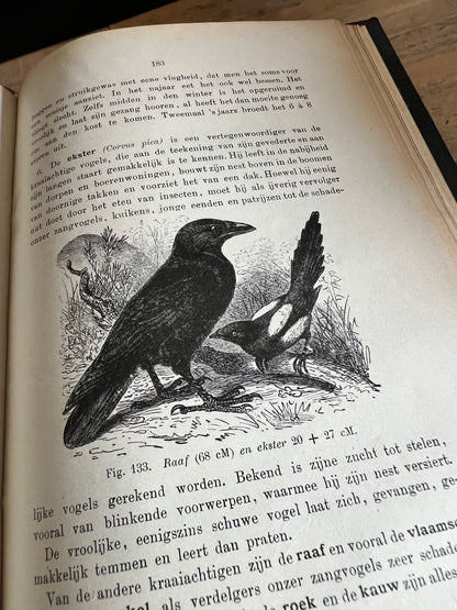 Boek dierkunde - D. Horn 1910
