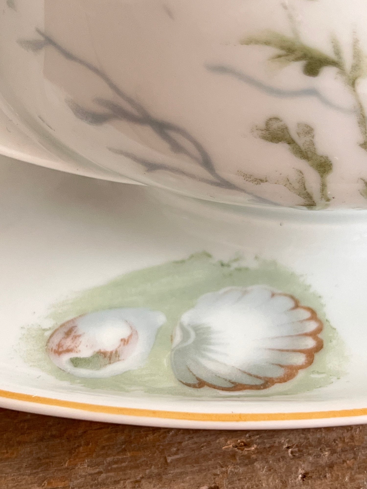 Sauskom "Donatello" van Rosenthal - jaren 50-70