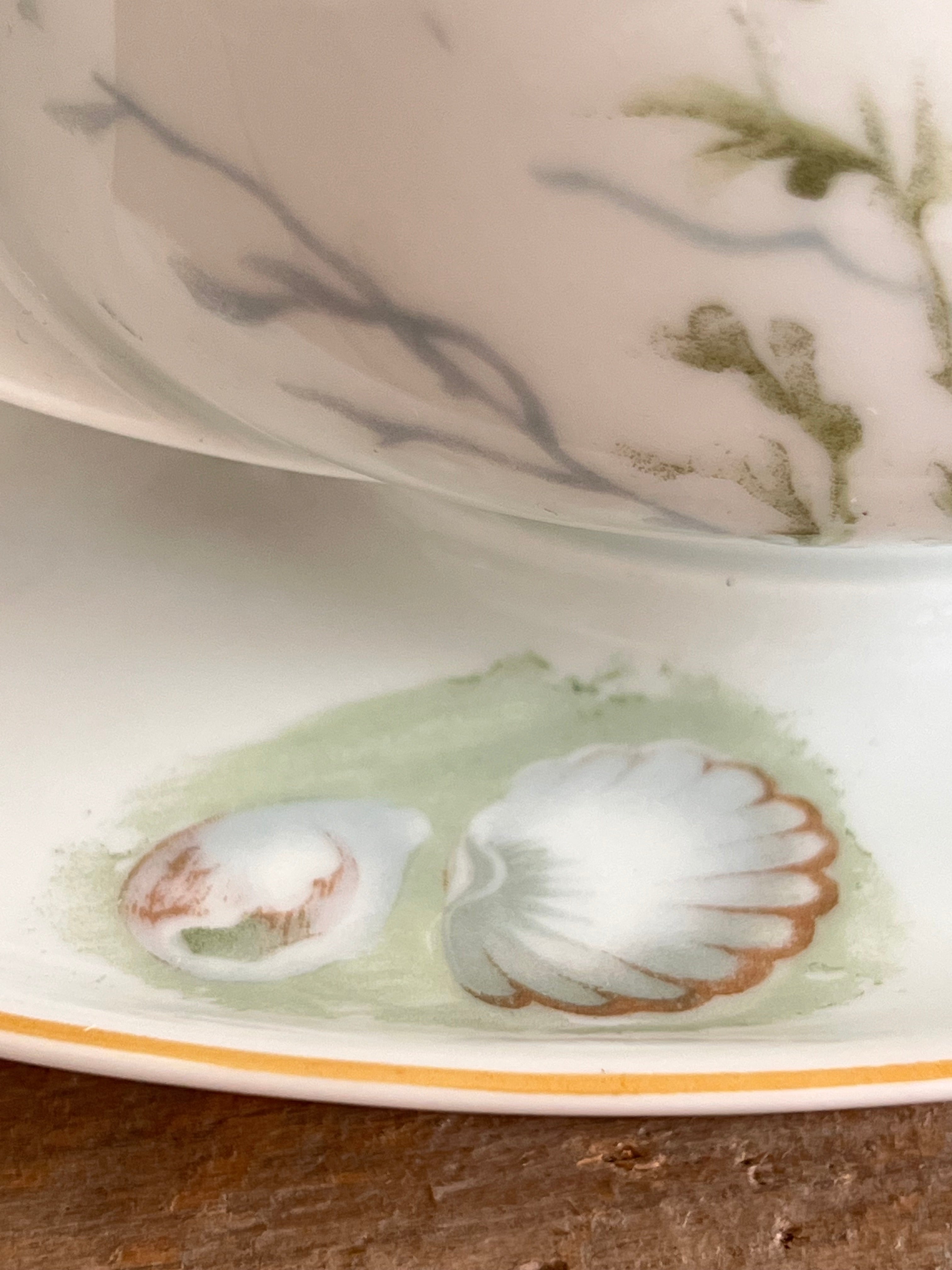 Sauskom "Donatello" van Rosenthal - jaren 50-70