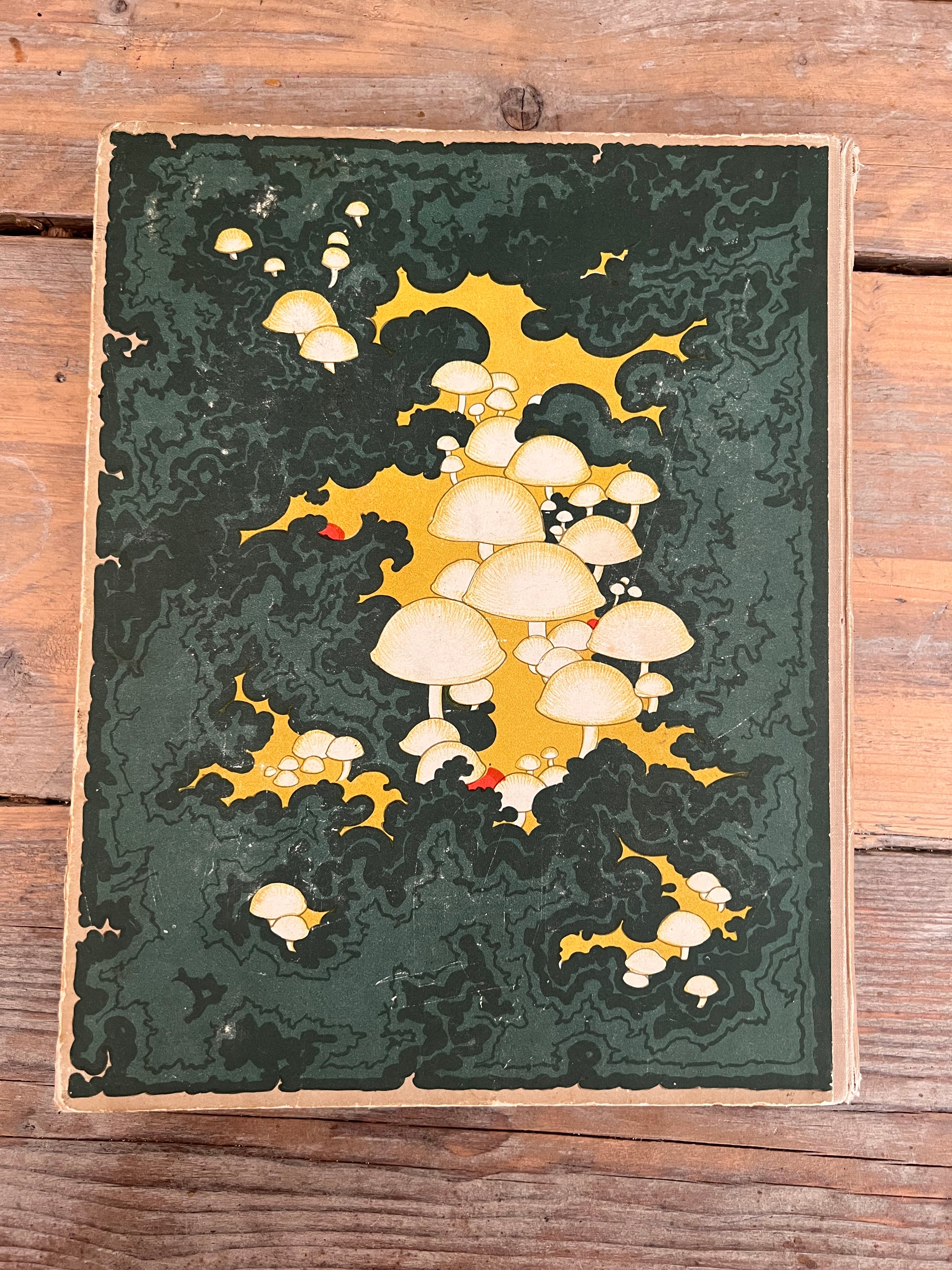 Antique Verkade picture book Mushrooms