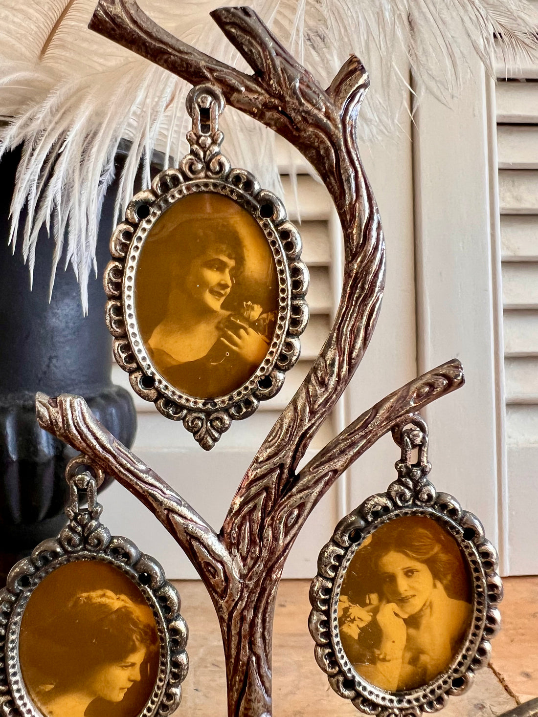 Stamboom fotolijstjes
