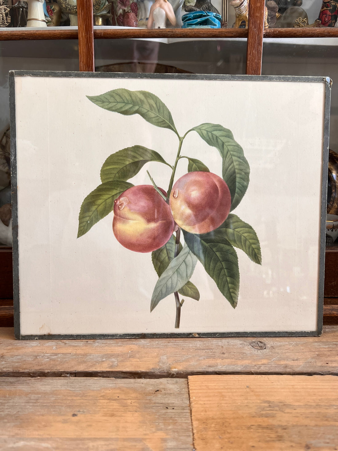 Illustratie perzik vintage