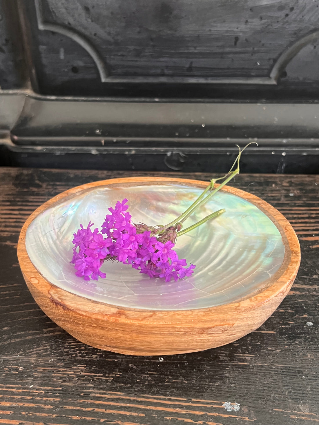 Schaaltje van schelp en hout