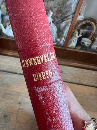 Boek dierkunde gewervelde dieren 1933