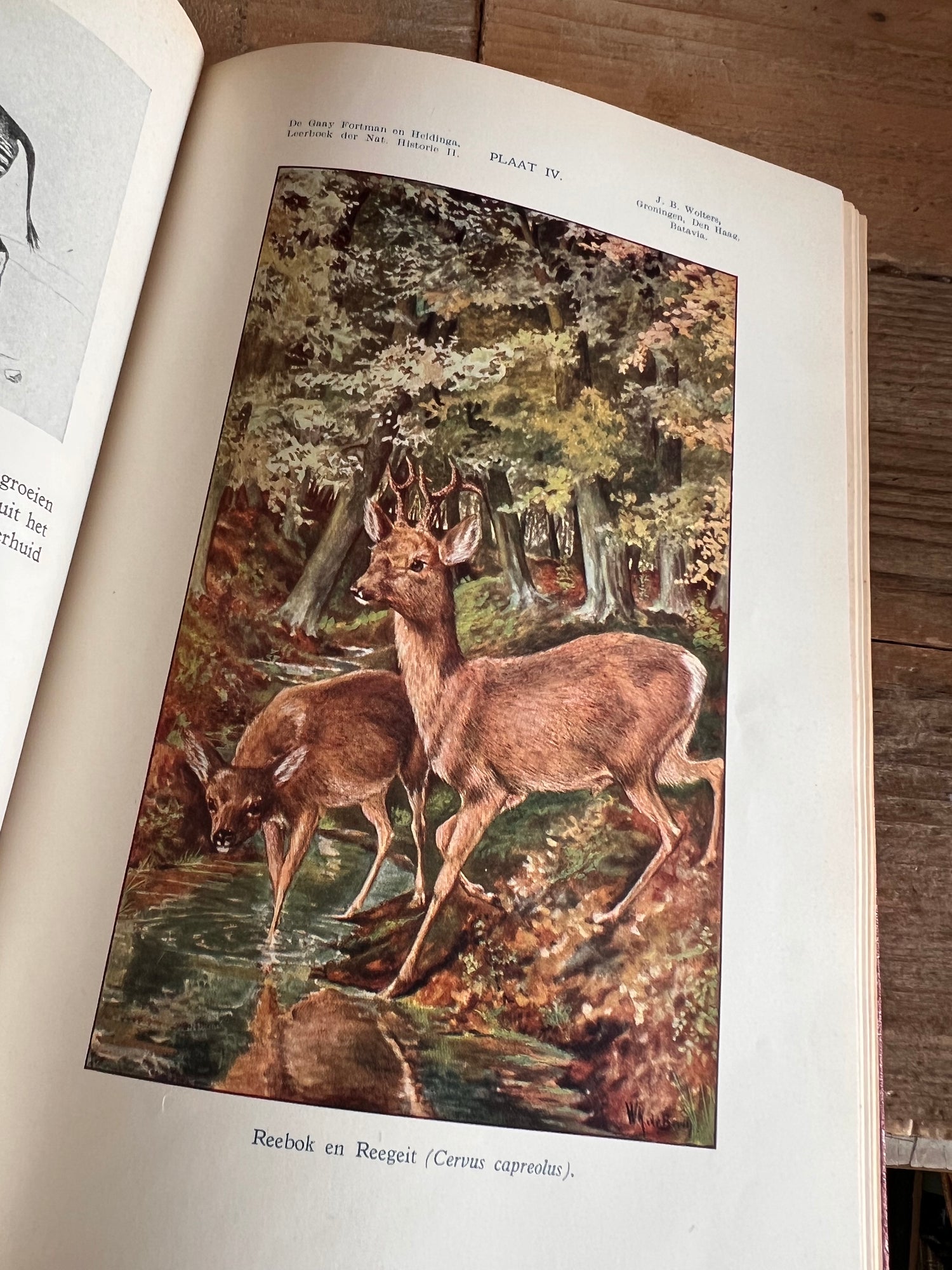 Leerboek der natuurlijke historie - Deel II gewervelde dieren