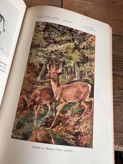 Leerboek der natuurlijke historie - Deel II gewervelde dieren