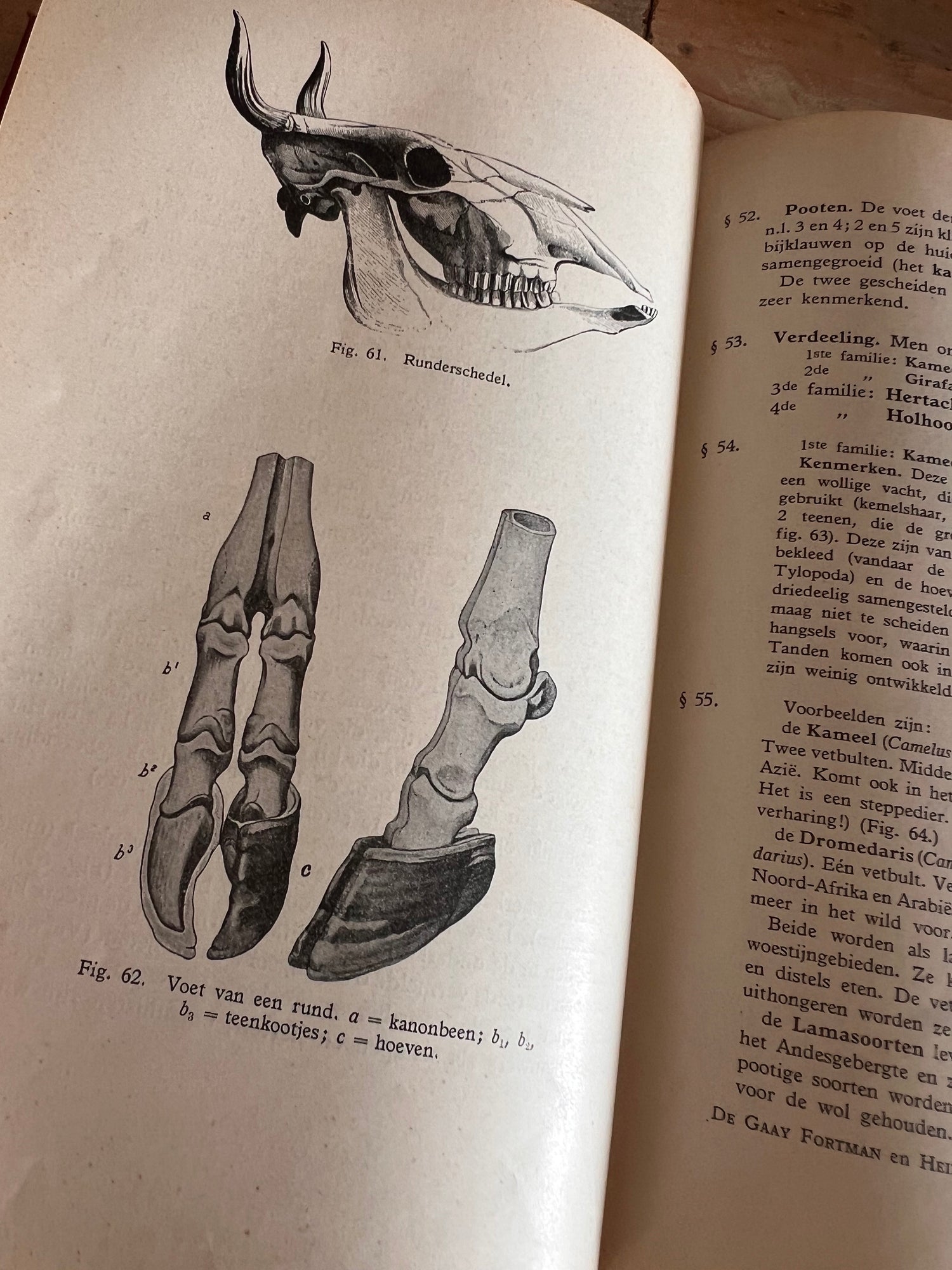 Leerboek der natuurlijke historie - Deel II gewervelde dieren