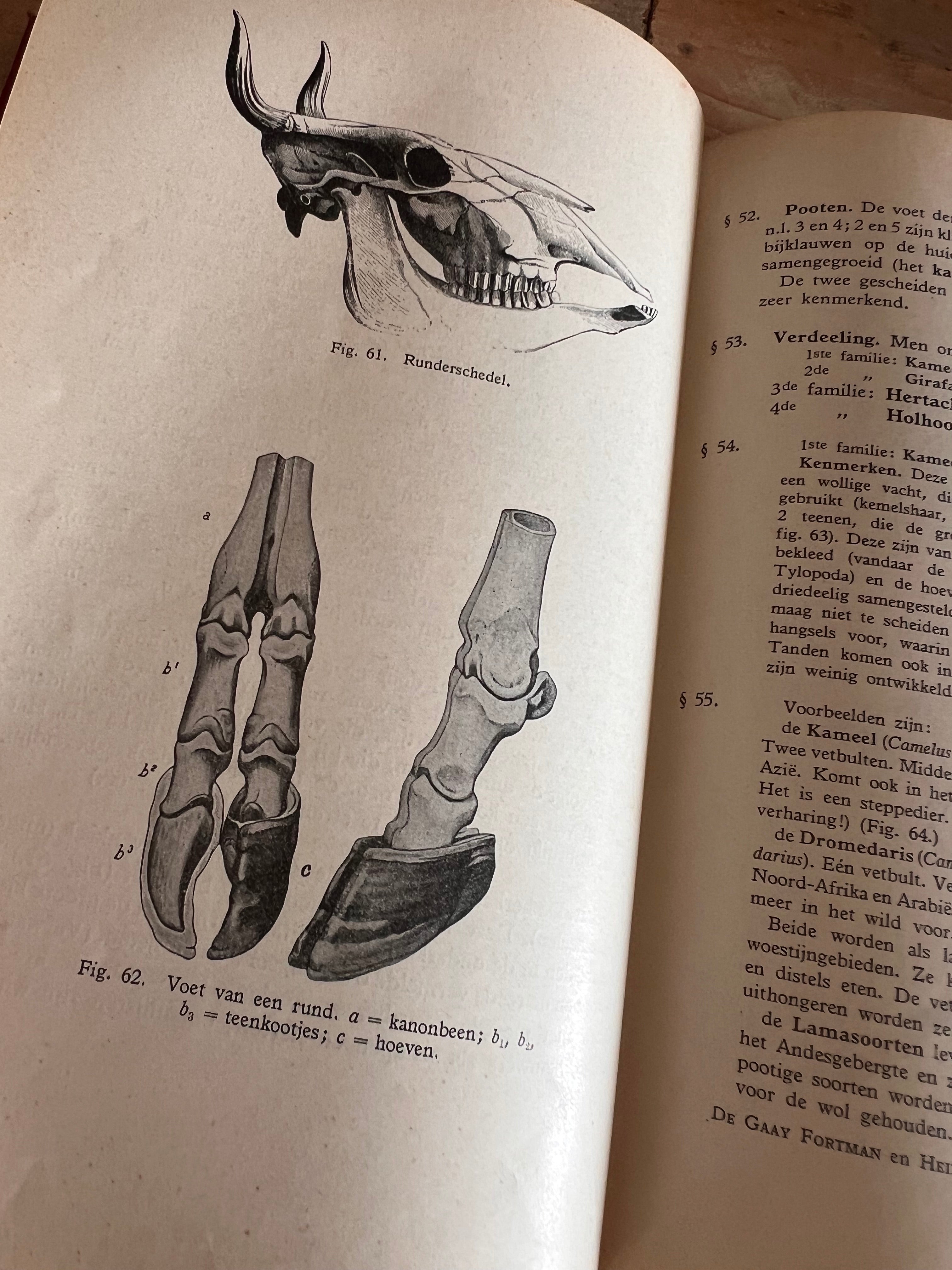Leerboek der natuurlijke historie - Deel II gewervelde dieren