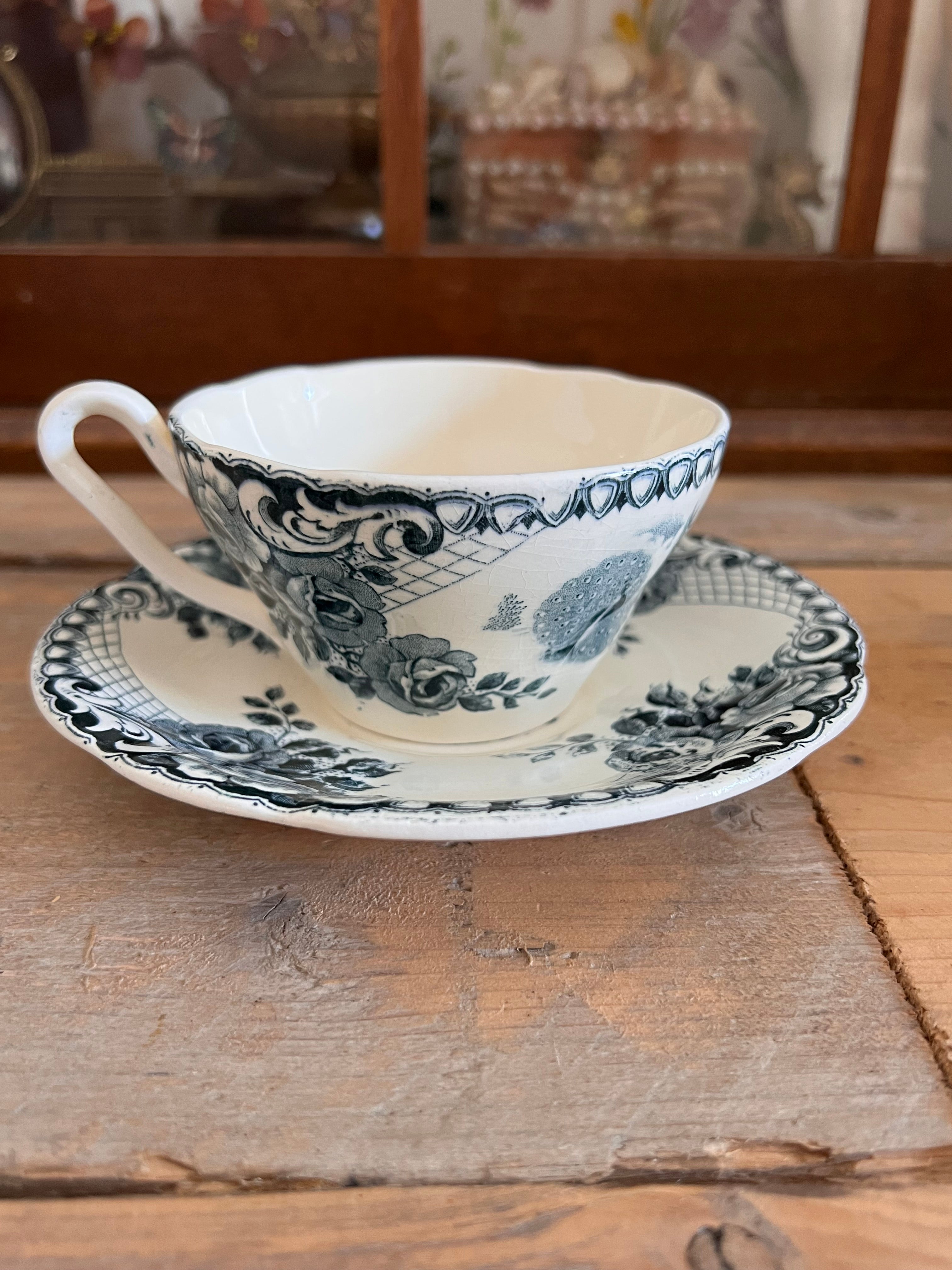 Cup and saucer Peacock