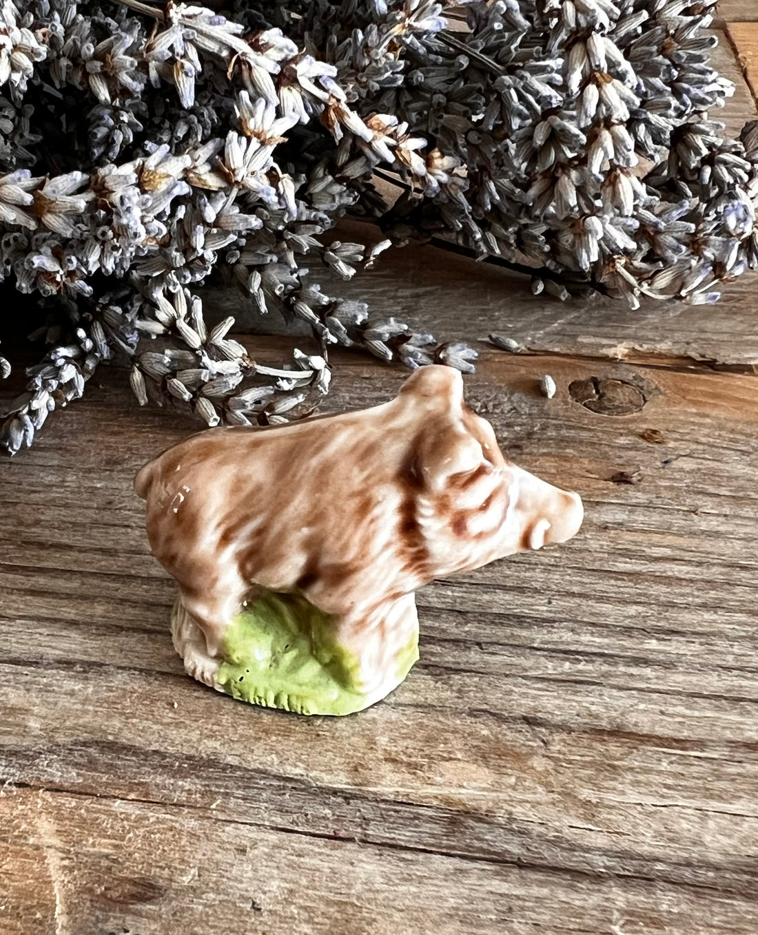 Wade Whimsie wild zwijn