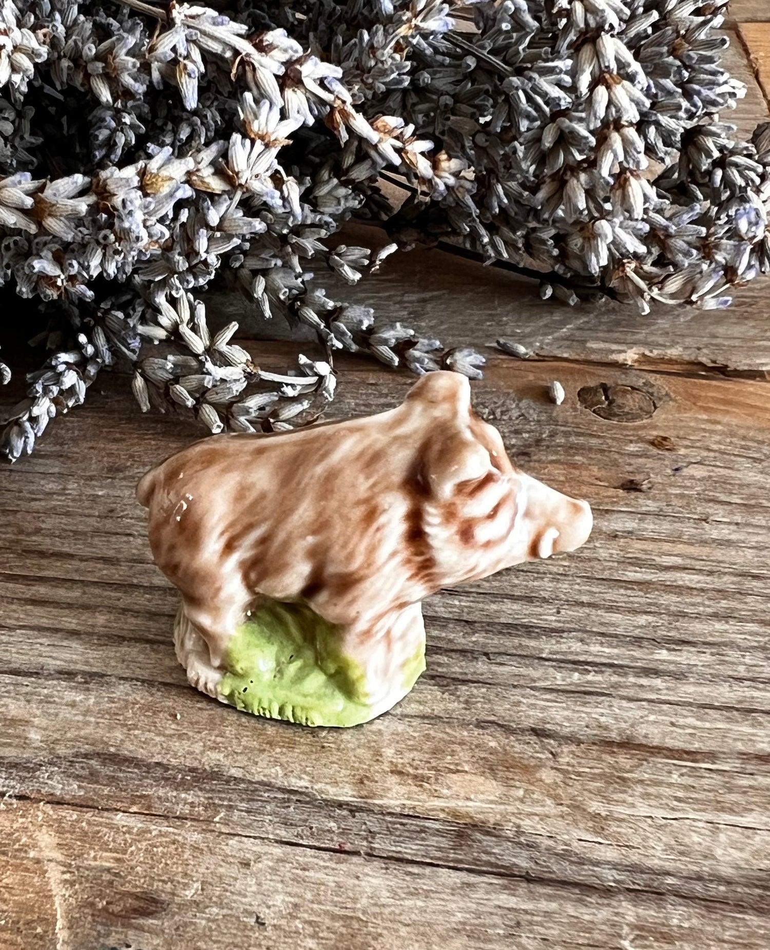 Wade Whimsie wild zwijn