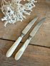 Vintage fruitmesjes met een &