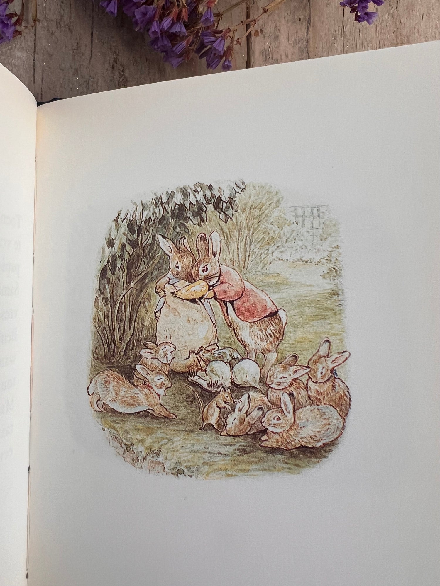 Wollepluis konijntjes Beatrix Potter