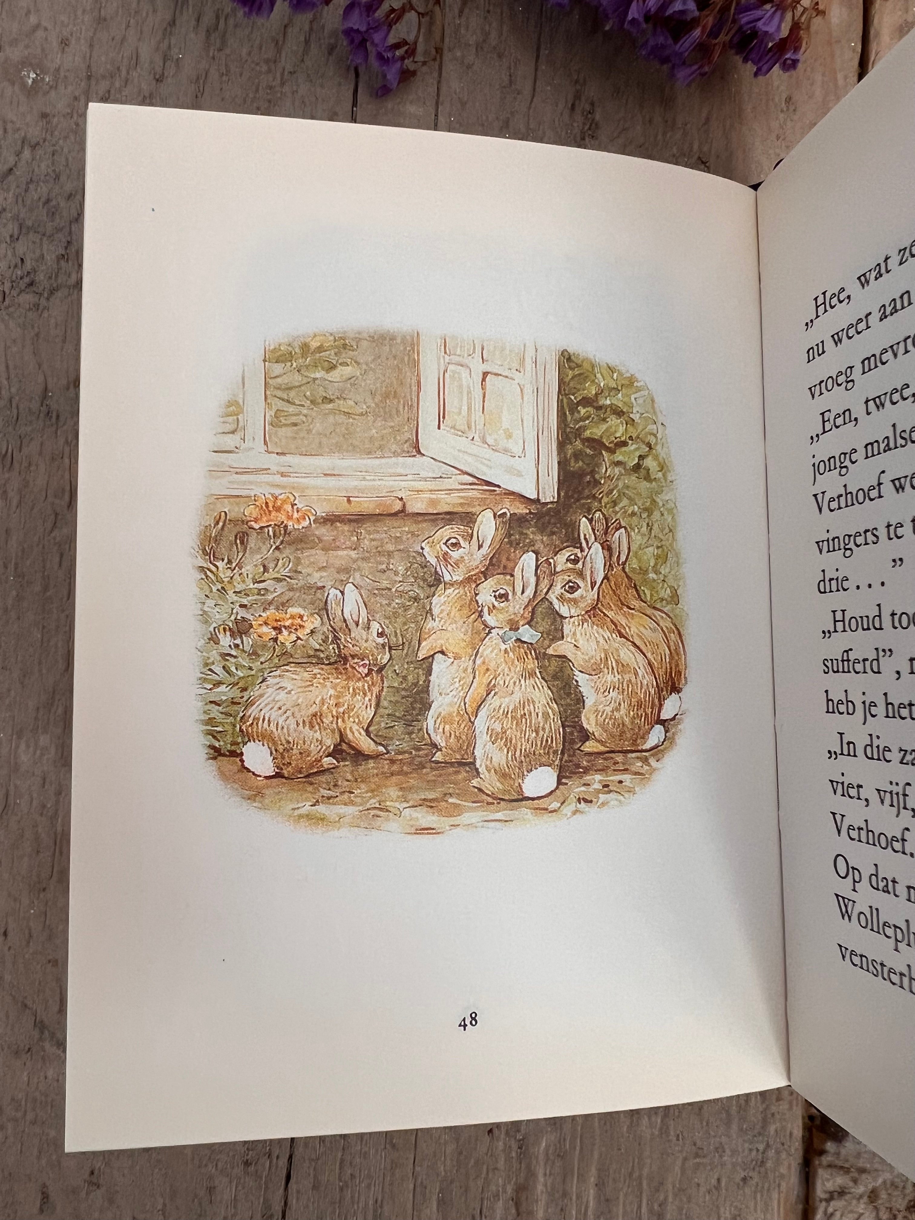 Wollepluis konijntjes Beatrix Potter