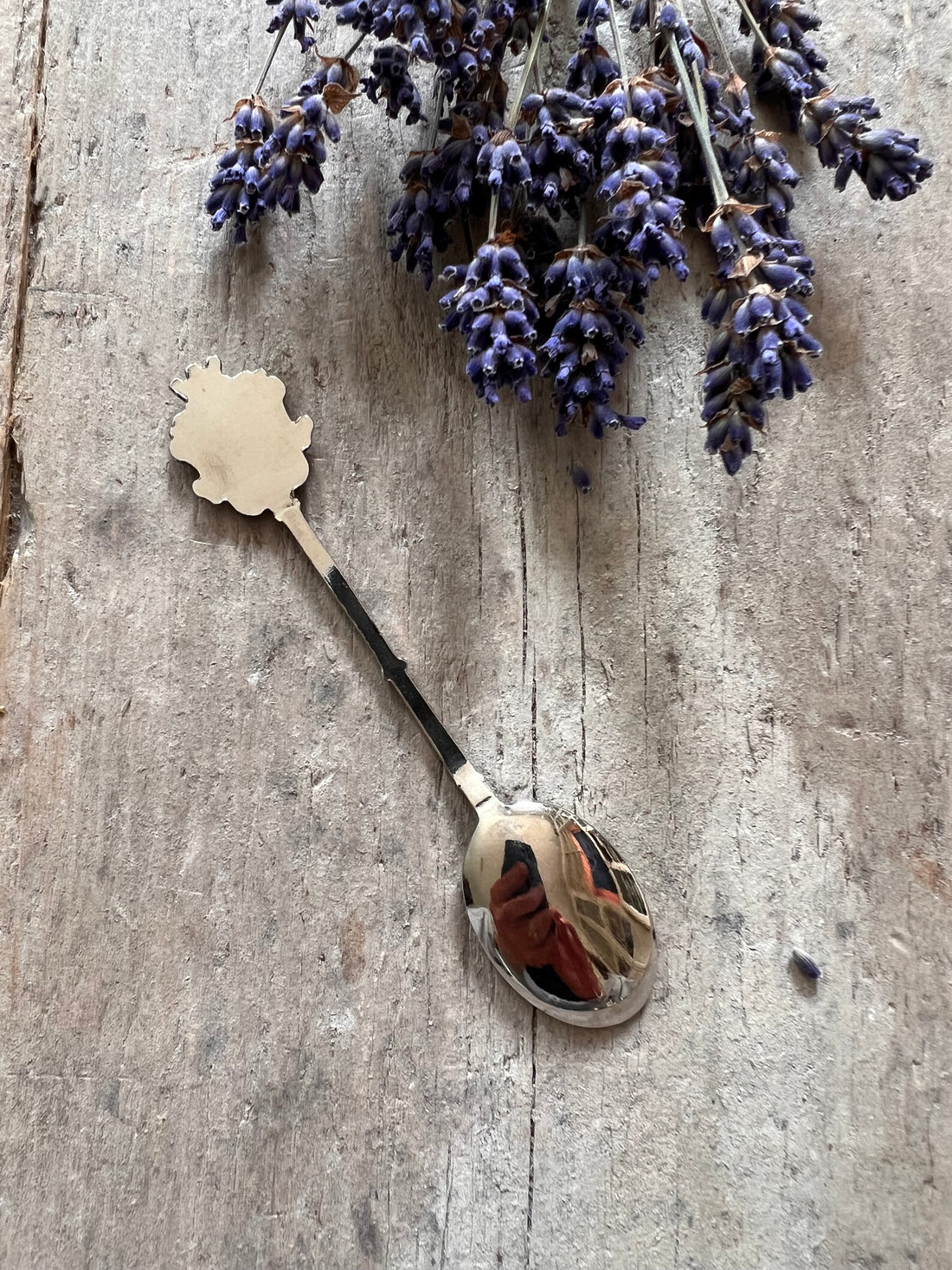 Coat of arms teaspoon I. d&