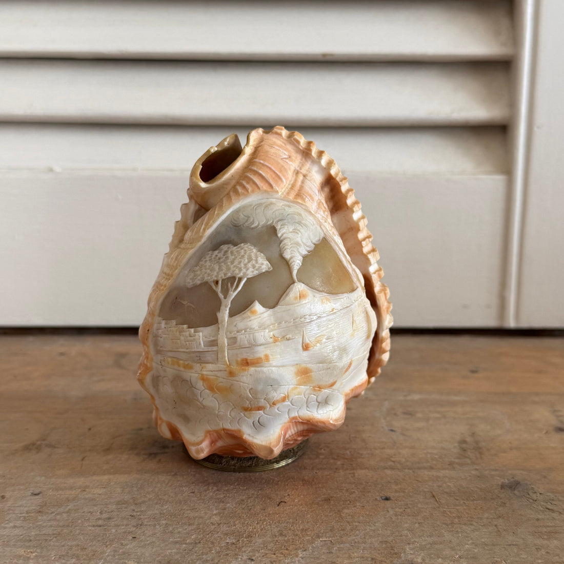 Antieke handgesneden camee schelp - decoratief lampenkapje