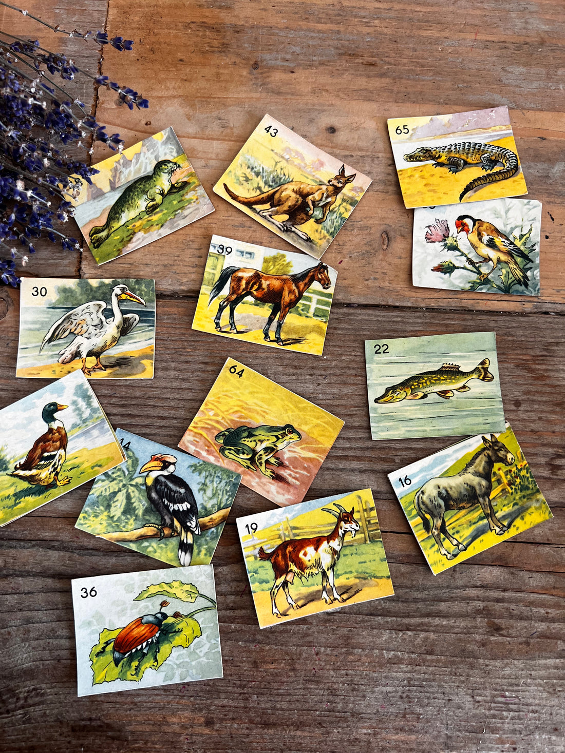 &amp;nbsp;vintage dierenplaatjes, dieren illustraties vintage, art journal stickers, creatieve hobby materialen, scrapbooking materialen, retro dieren afbeeldingen peperlover papierliefhebber