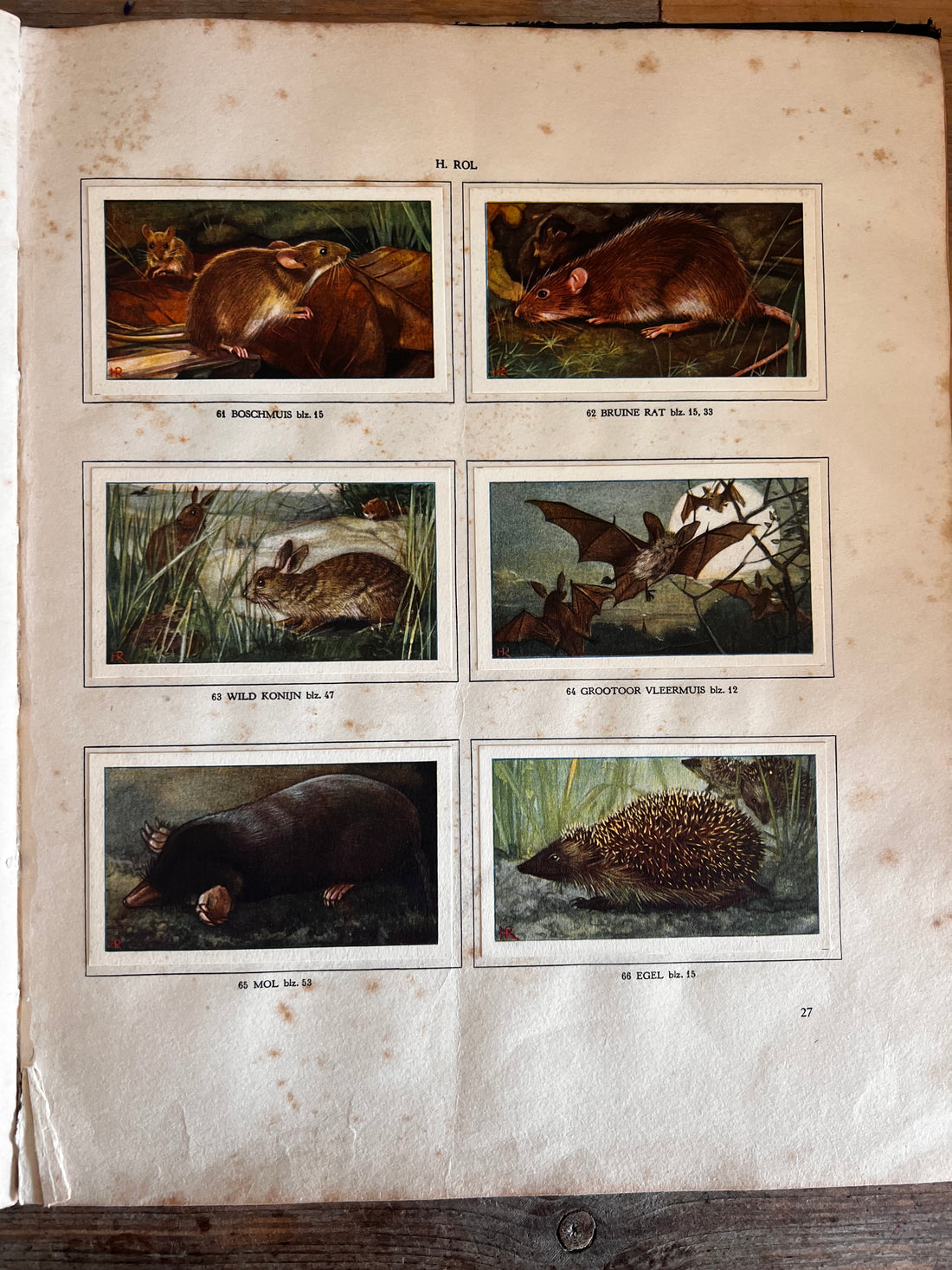 Verkade-Bilderbuch Hans de Torenkraai