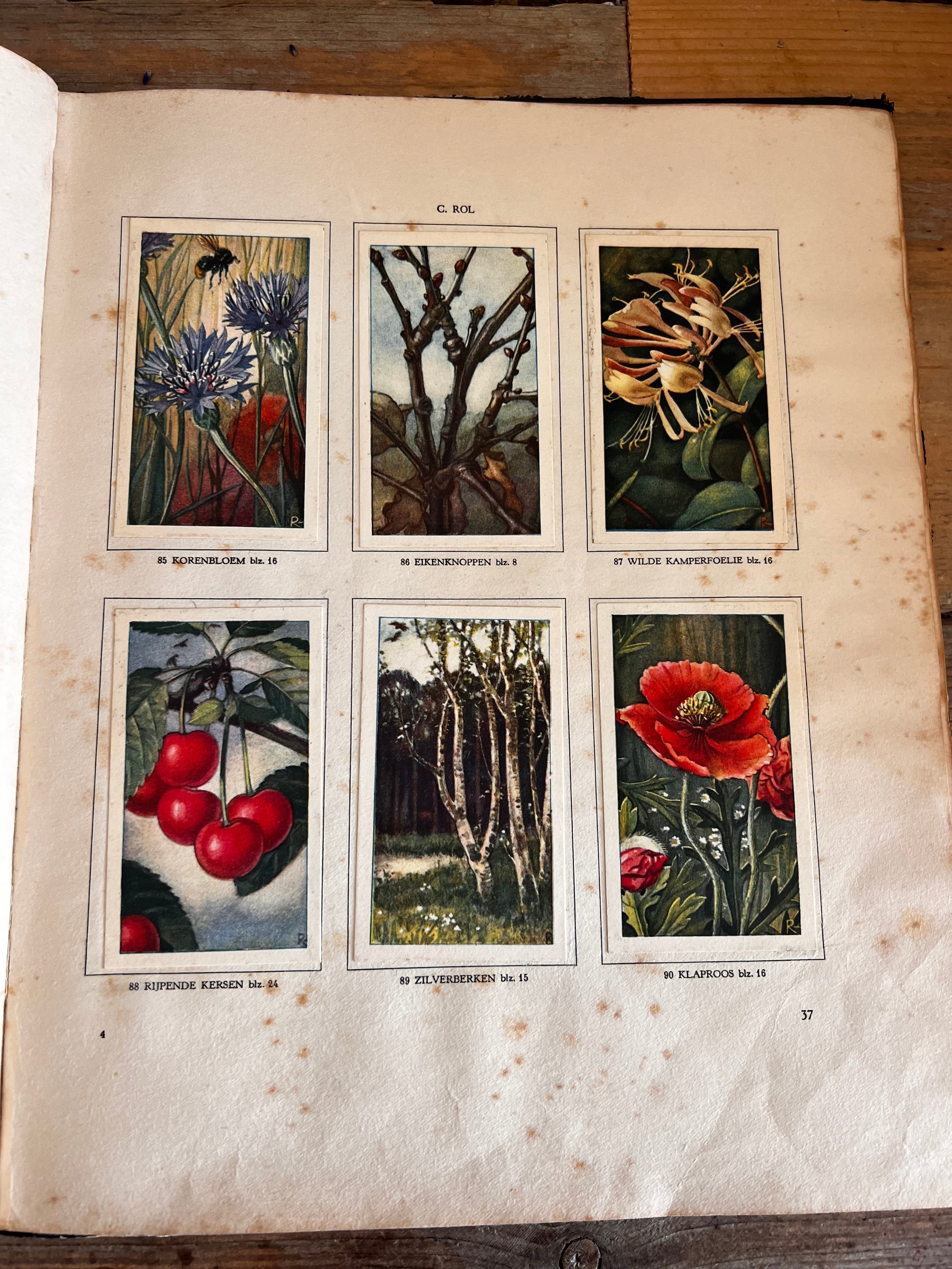 Verkade-Bilderbuch Hans de Torenkraai