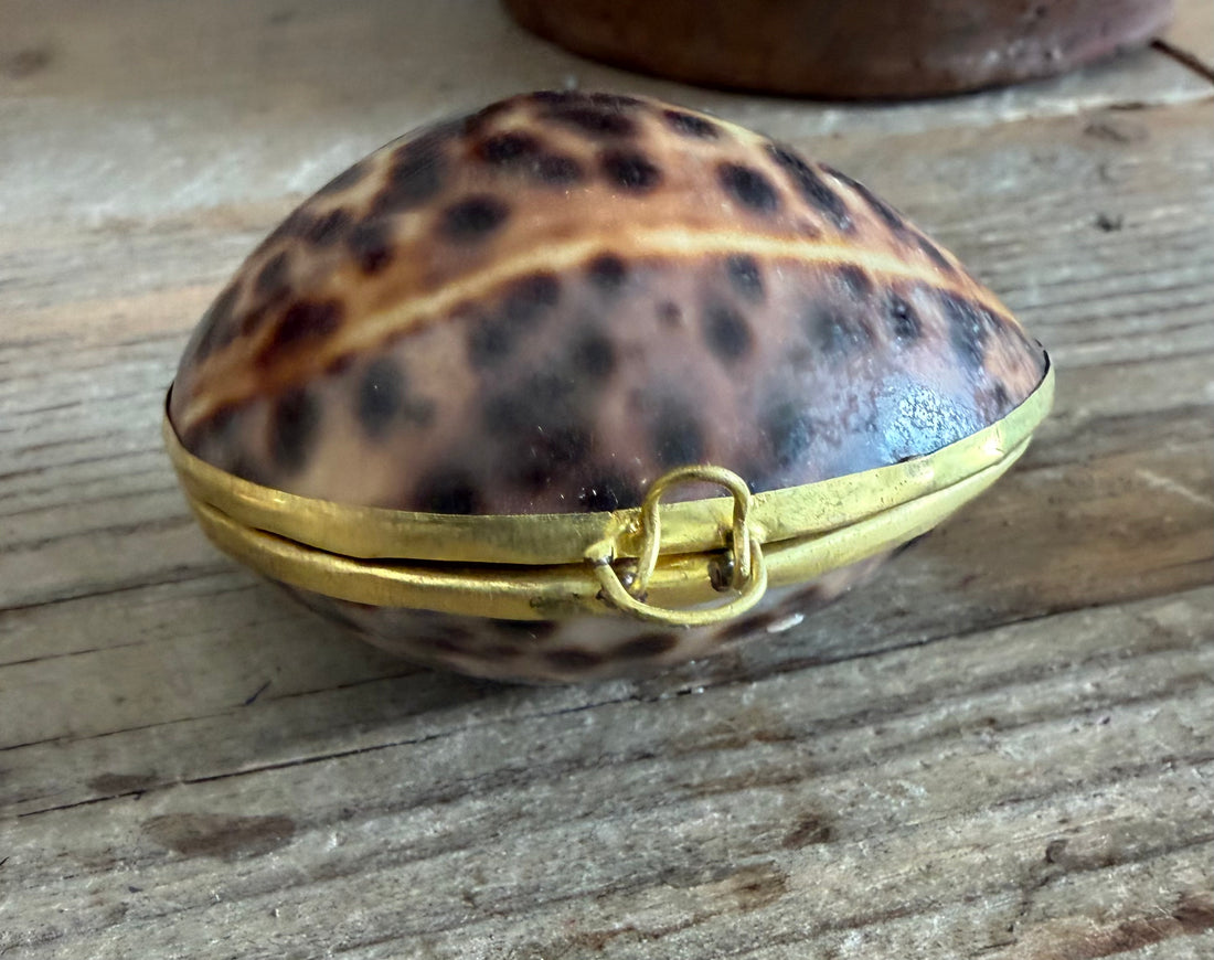 schelpdoosje, kaurieschelp, cowrie shell, messing sierdoosje, curiosa, zee decoratie, Frans interieur, Sofia&