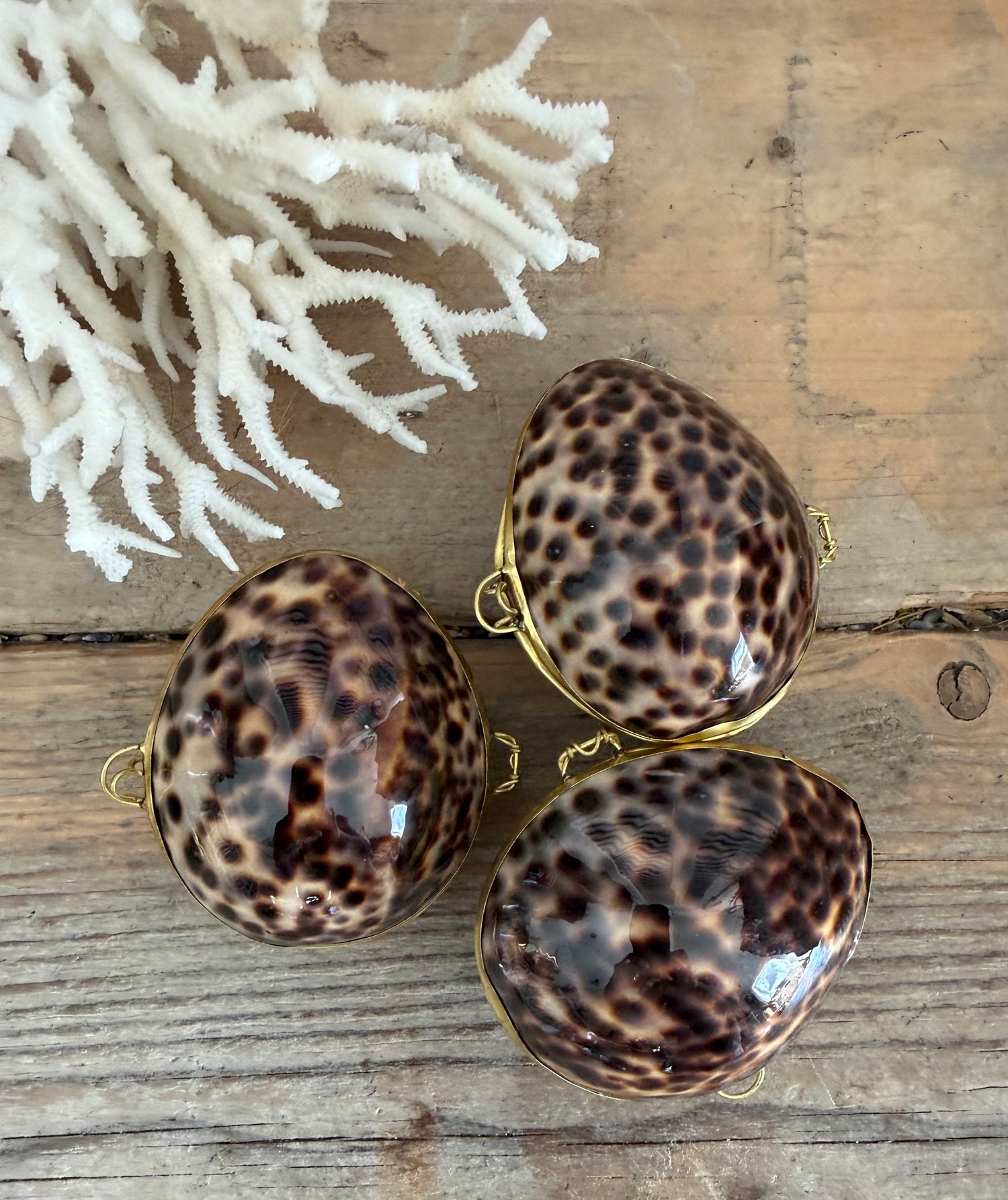 schelpdoosje, kaurieschelp, cowrie shell, messing sierdoosje, curiosa, zee decoratie, Frans interieur, Sofia&