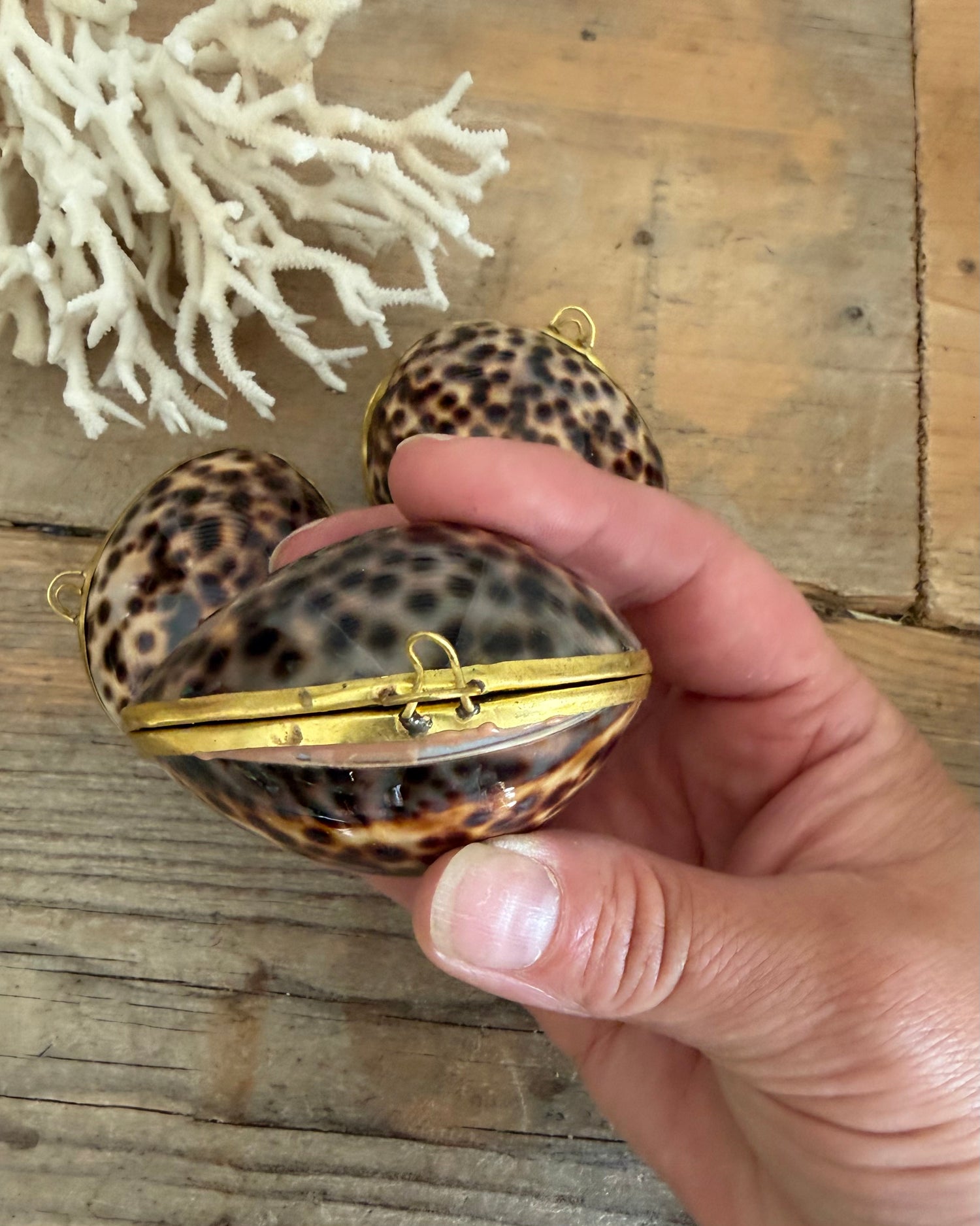 schelpdoosje, kaurieschelp, cowrie shell, messing sierdoosje, curiosa, zee decoratie, Frans interieur, Sofia&