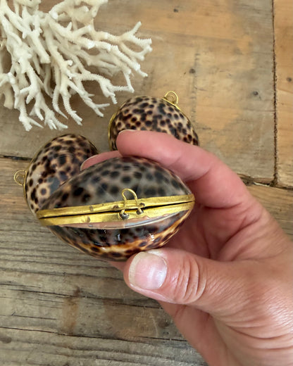 schelpdoosje, kaurieschelp, cowrie shell, messing sierdoosje, curiosa, zee decoratie, Frans interieur, Sofia&