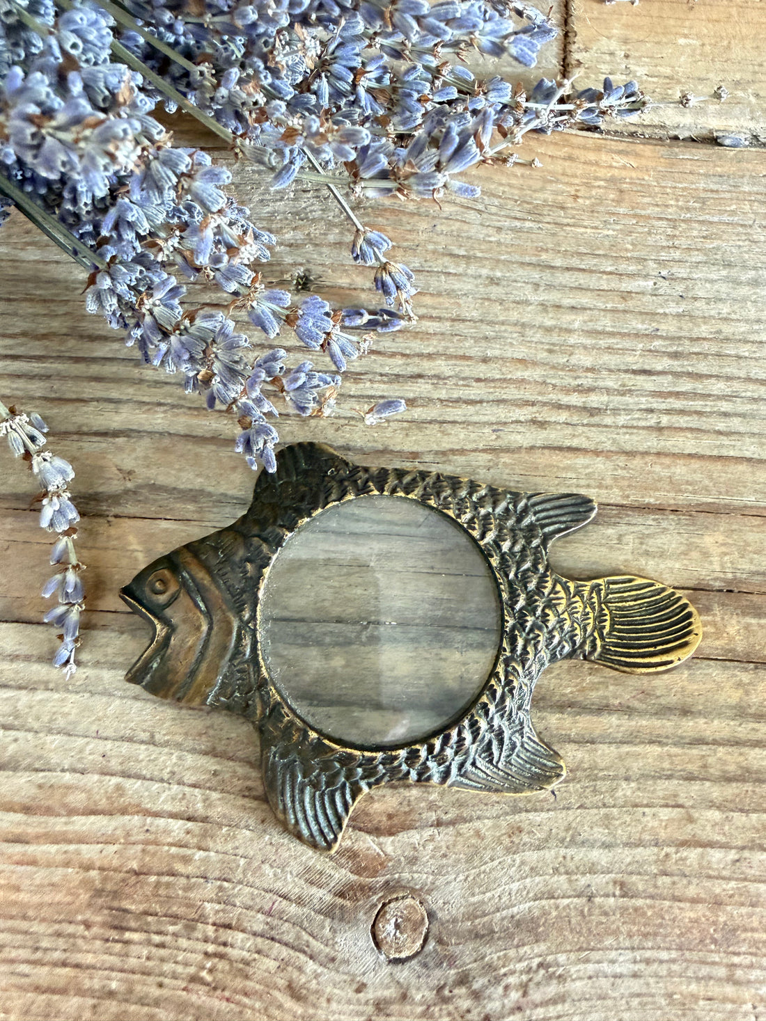 Vintage messing vis vergrootglas - decoratieve loep, Sofia&