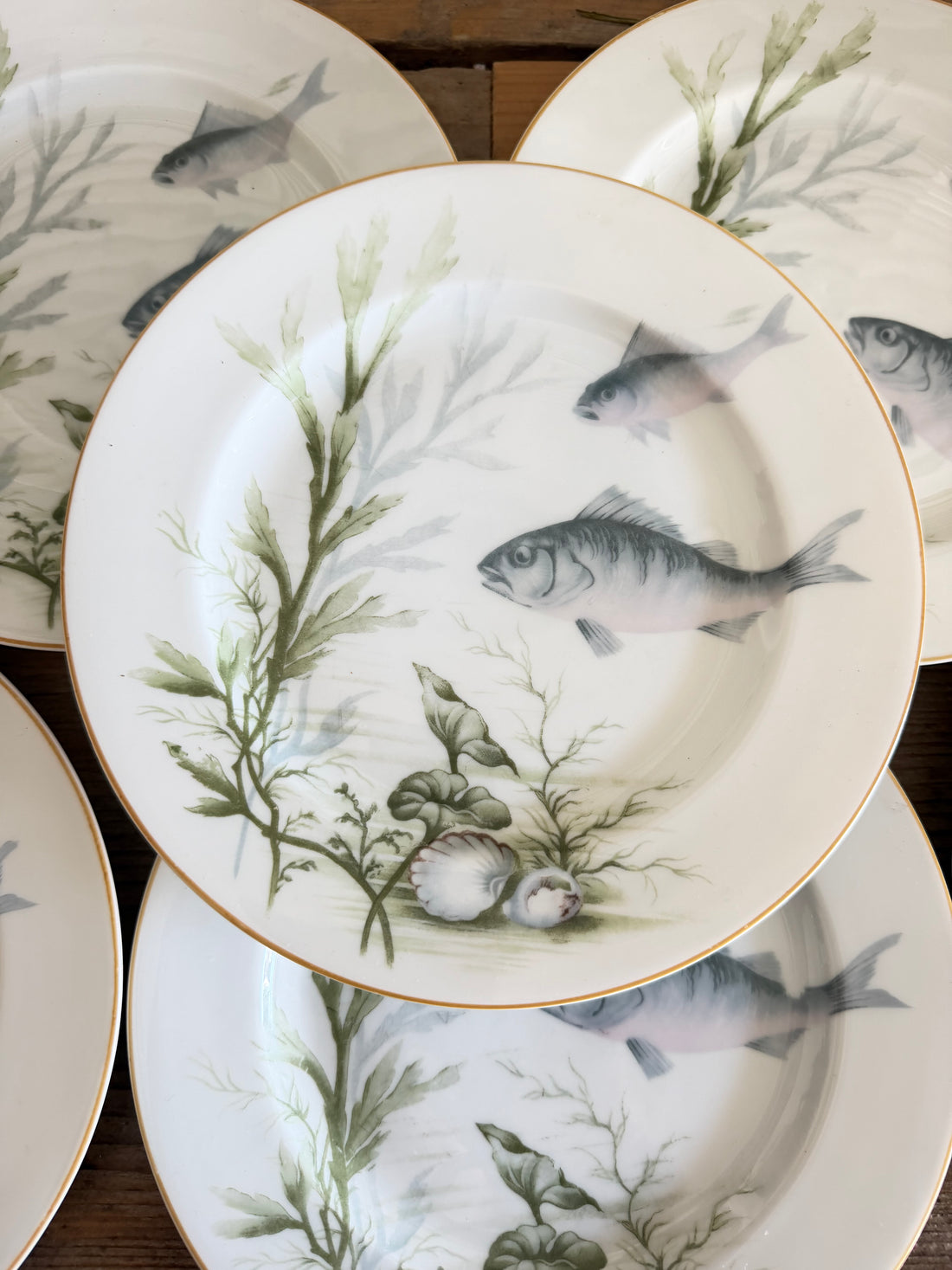 Rosenthal lunchborden, visborden, Selb Bavaria, porselein, Rosenthal porselein, Sofia&