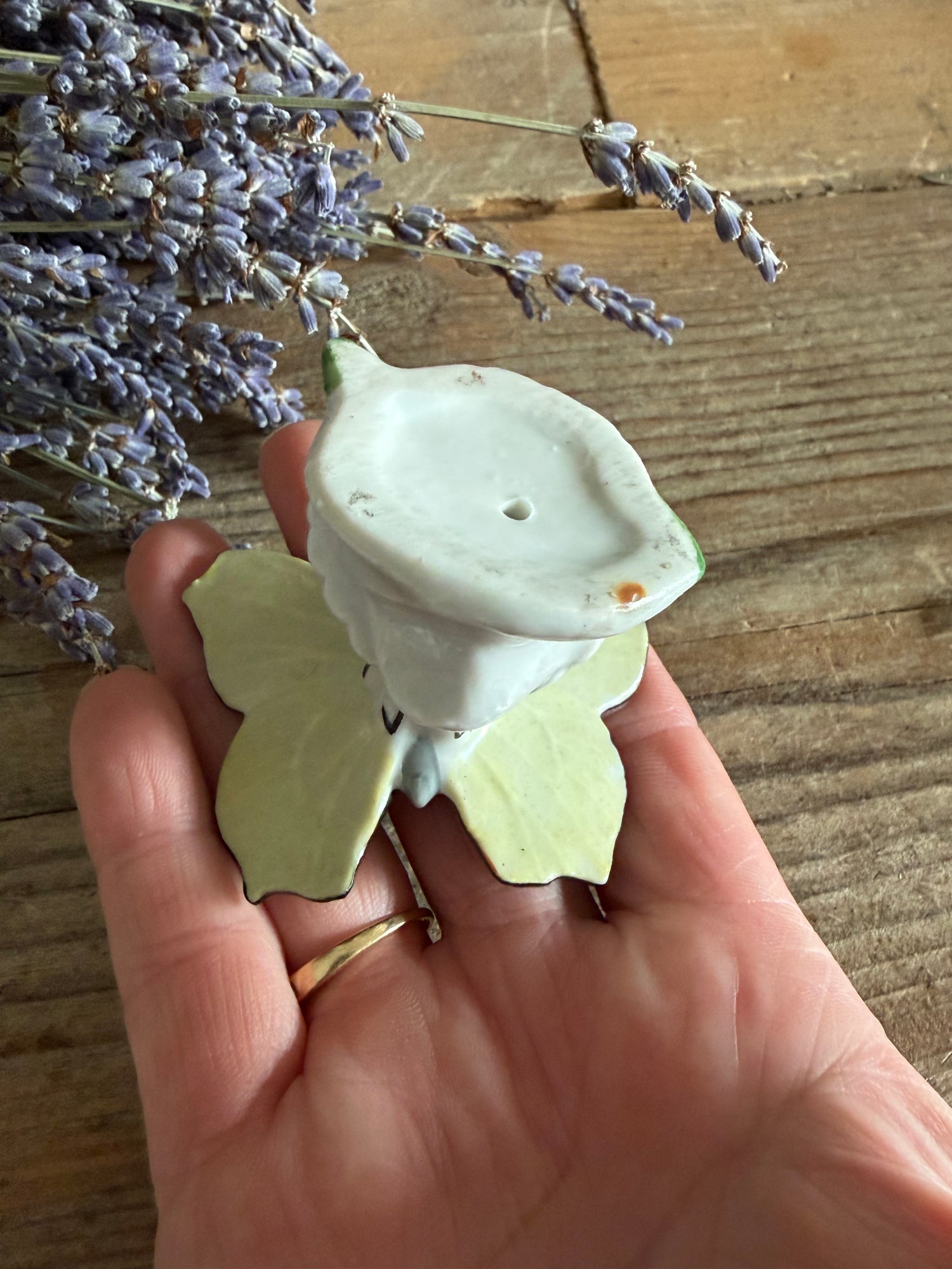 Karl Ens, dagpauwoo, porseleinen vlinder, Duits porselein, vintage vlinderbeeldje, curiosa, botanica, rariteitenkabinet, handbeschilderdporselein, Sofia Brocante