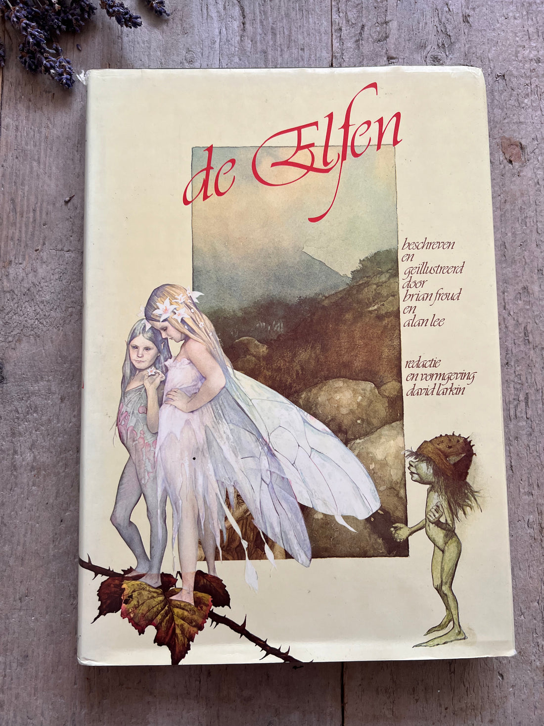 Vintage boek De Elfen