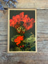 Vintage botanische plaat, vintage bloemenprent,botanische wanddecoratie, herbarium decoratie, botanica interieur, French Light Academia, Sofia&