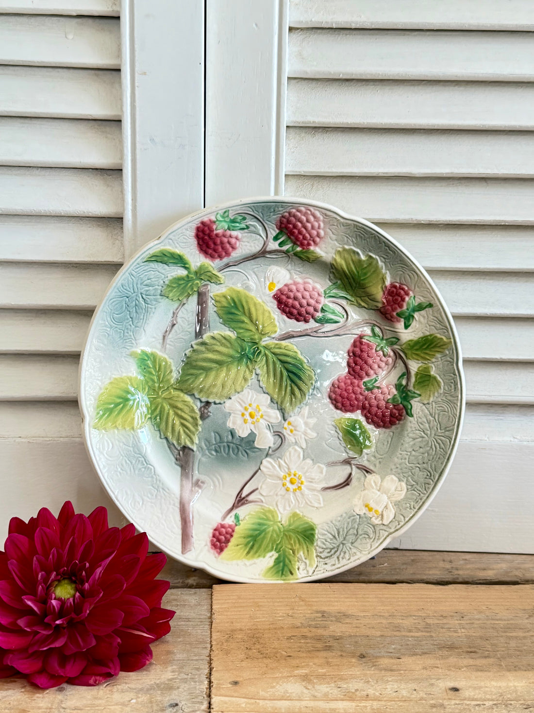 Frans barbotine bord, Saint Clement bord, Saint Clement France, vintage Frans keramiek, barbotine fruit, majolica bord Frankrijk, Frans aardewerk, Franse brocante keramiek, botanische brocante, Sofia&