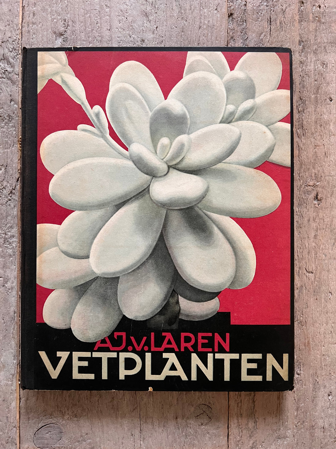 Verkade plaatjesboek vetplanten