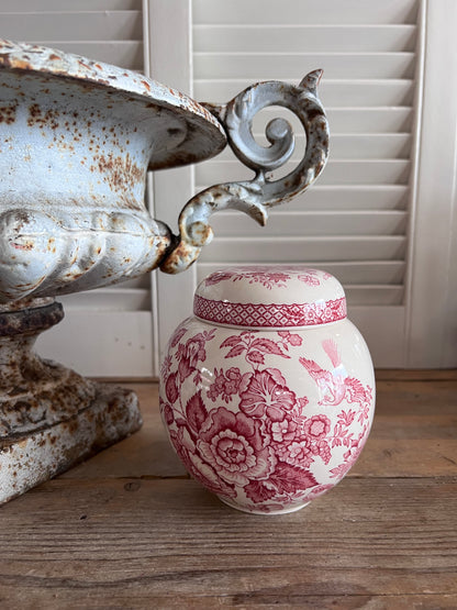 
Vintage gemberpot, Mason’s Stratford, Mason’s Stratford gemberpot roze, keramische gemberpot vintage, retro keukenpot, vintage Mason’s Stratford pot, gemberpot kopen, landelijke keukenaccessoires