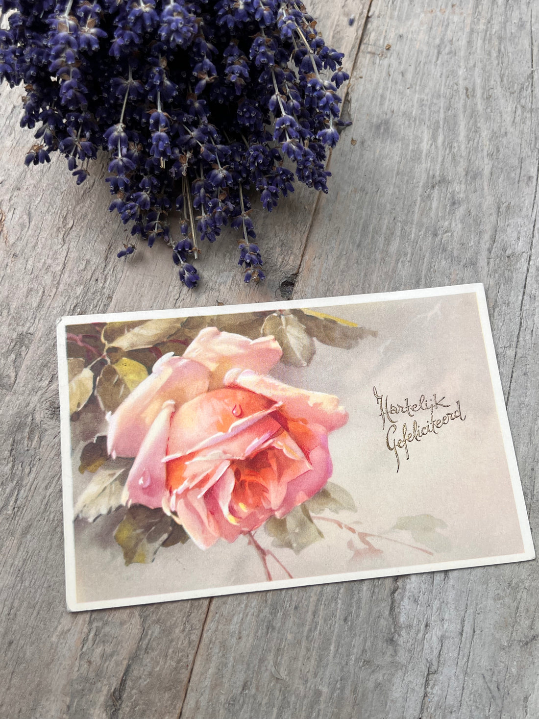 Vintage ansichtkaart roze roos