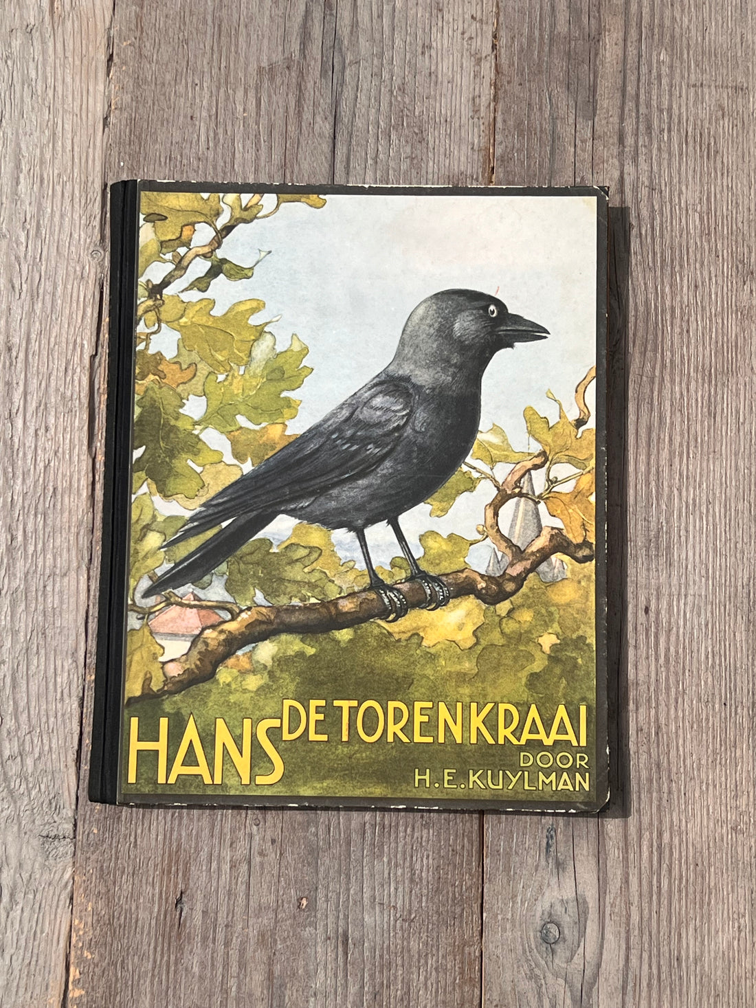 Boek Hans de Torenkraai