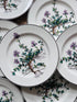 Villeroy &  Boch ontbijtbord, Villeroy & Boch Botanica, vintage ontbijtbord jaren 70, Botanica serie bord, Thymus pulegioides bord, retro porselein bord, botanisch servies vintage
