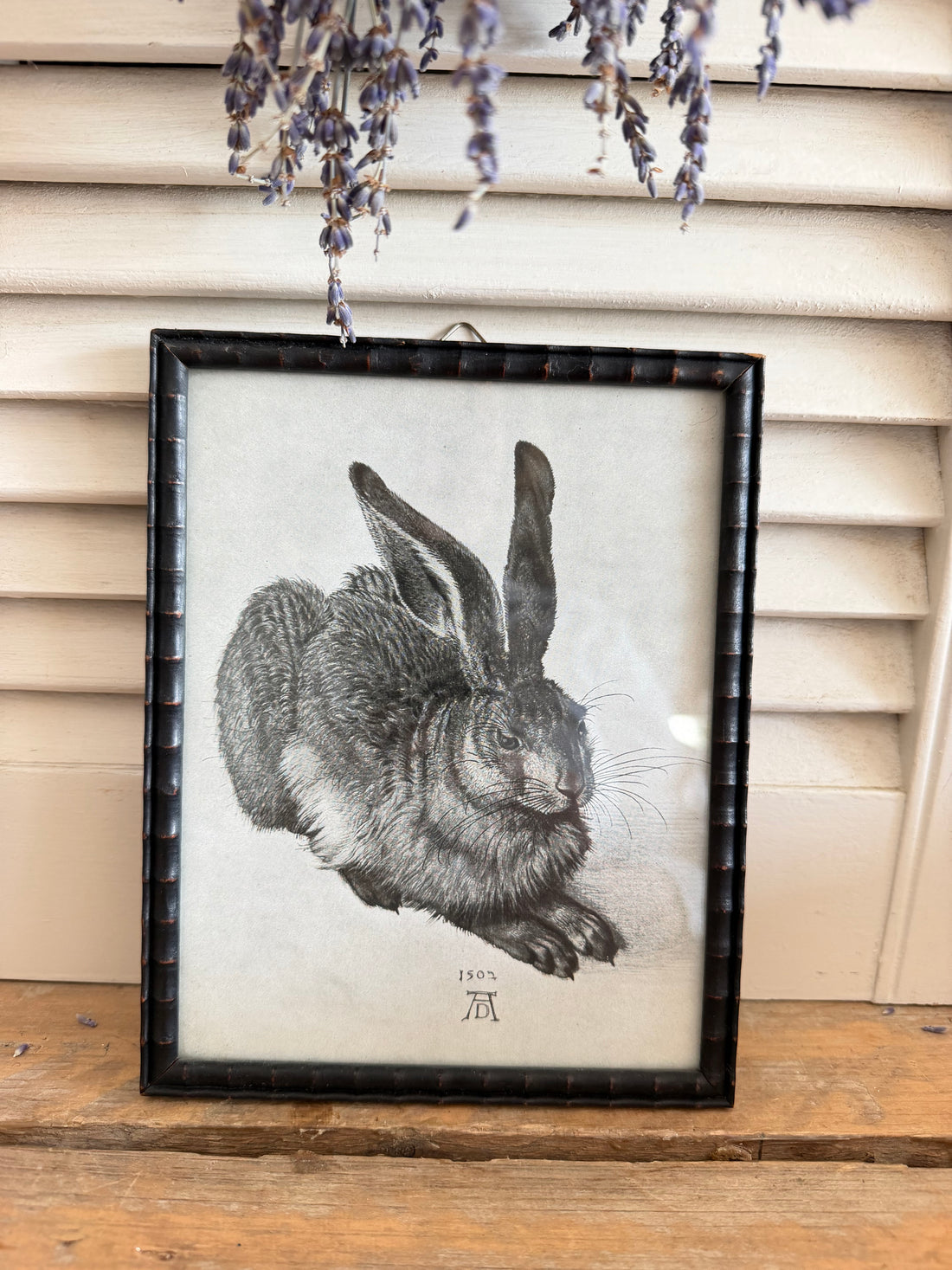 Vintage hazenprent, Albrecht Dürer haas, ingelijste dierenprent, vintage wanddecoratie, brocante lijstje, klassieke kunstreproductie, oude dierenillustratie, Sofia&