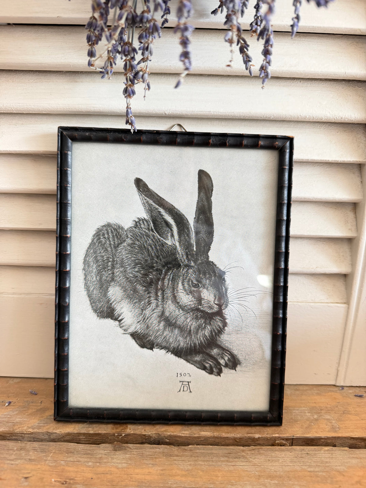Vintage hazenprent, Albrecht Dürer haas, ingelijste dierenprent, vintage wanddecoratie, brocante lijstje, klassieke kunstreproductie, oude dierenillustratie, Sofia&